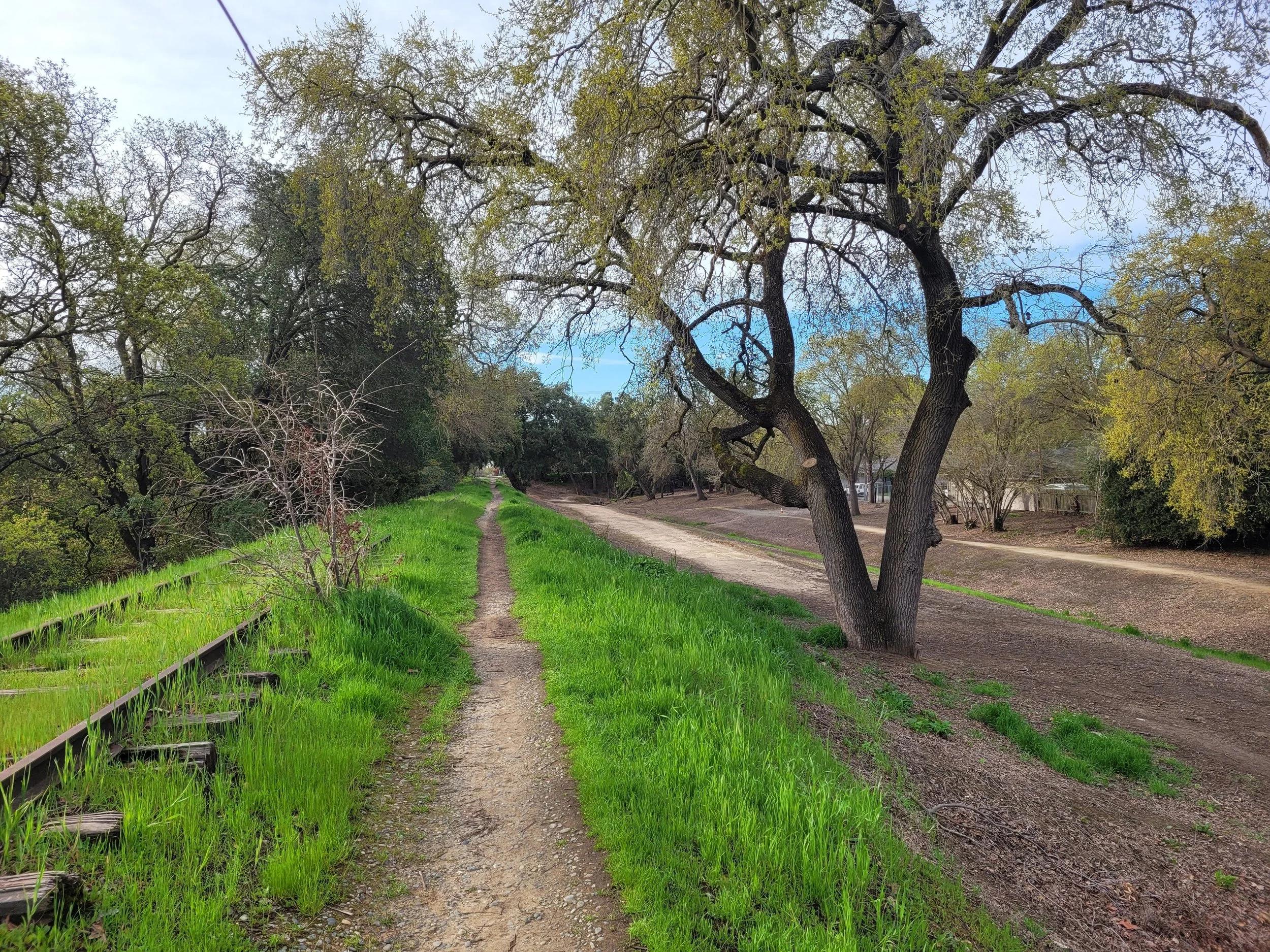Del Rio Trails Del Rio Trail Art Installed — Del Rio Trail