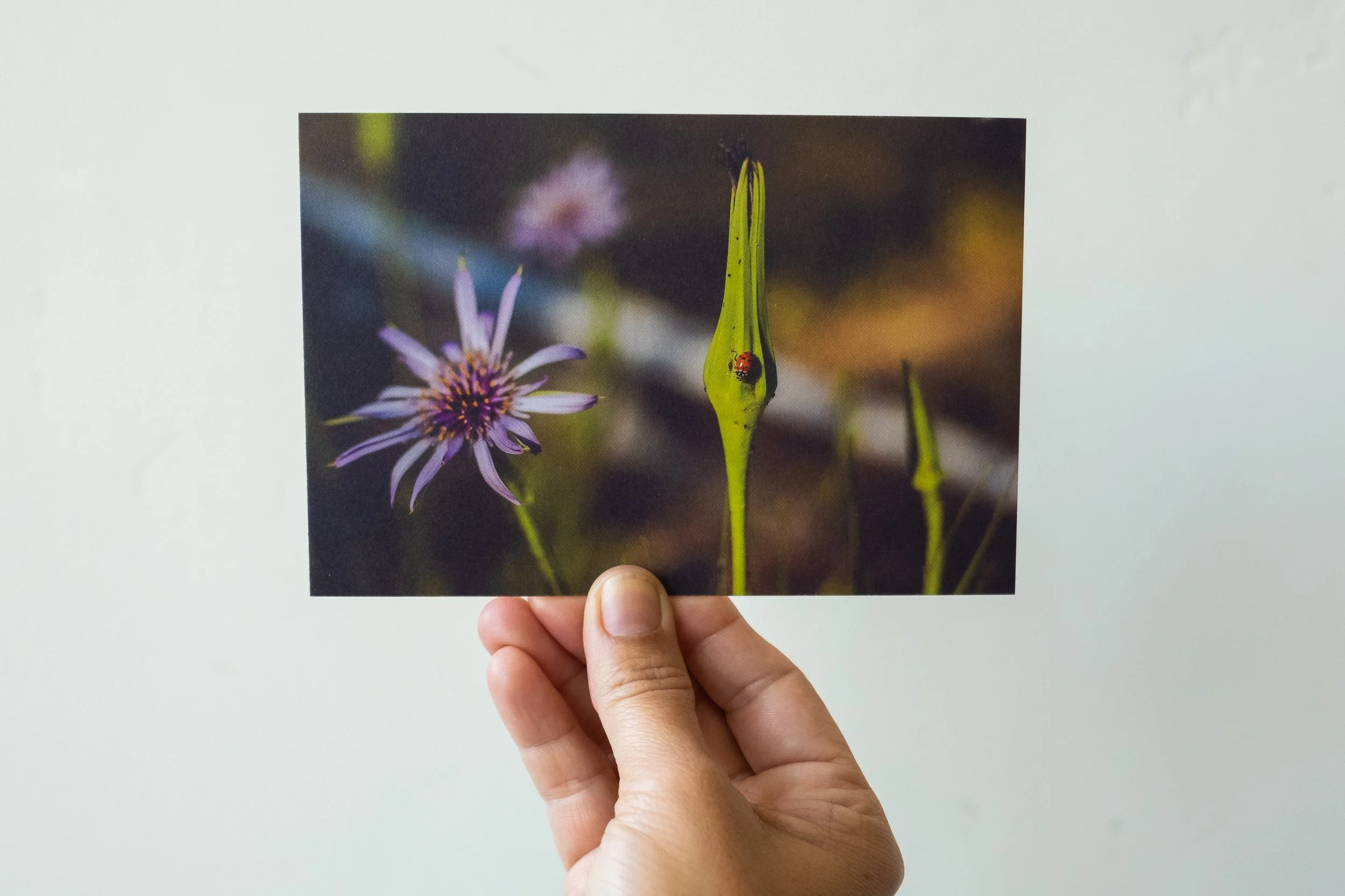 Janine_Mapurunga_Photography-0613.jpg