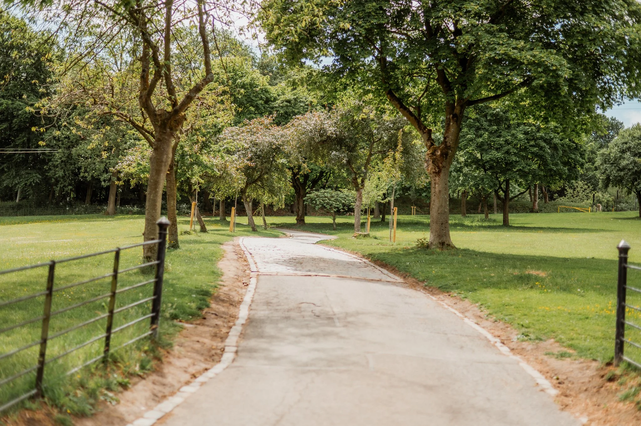 Shibden Blog RAW-136_2048px.jpg