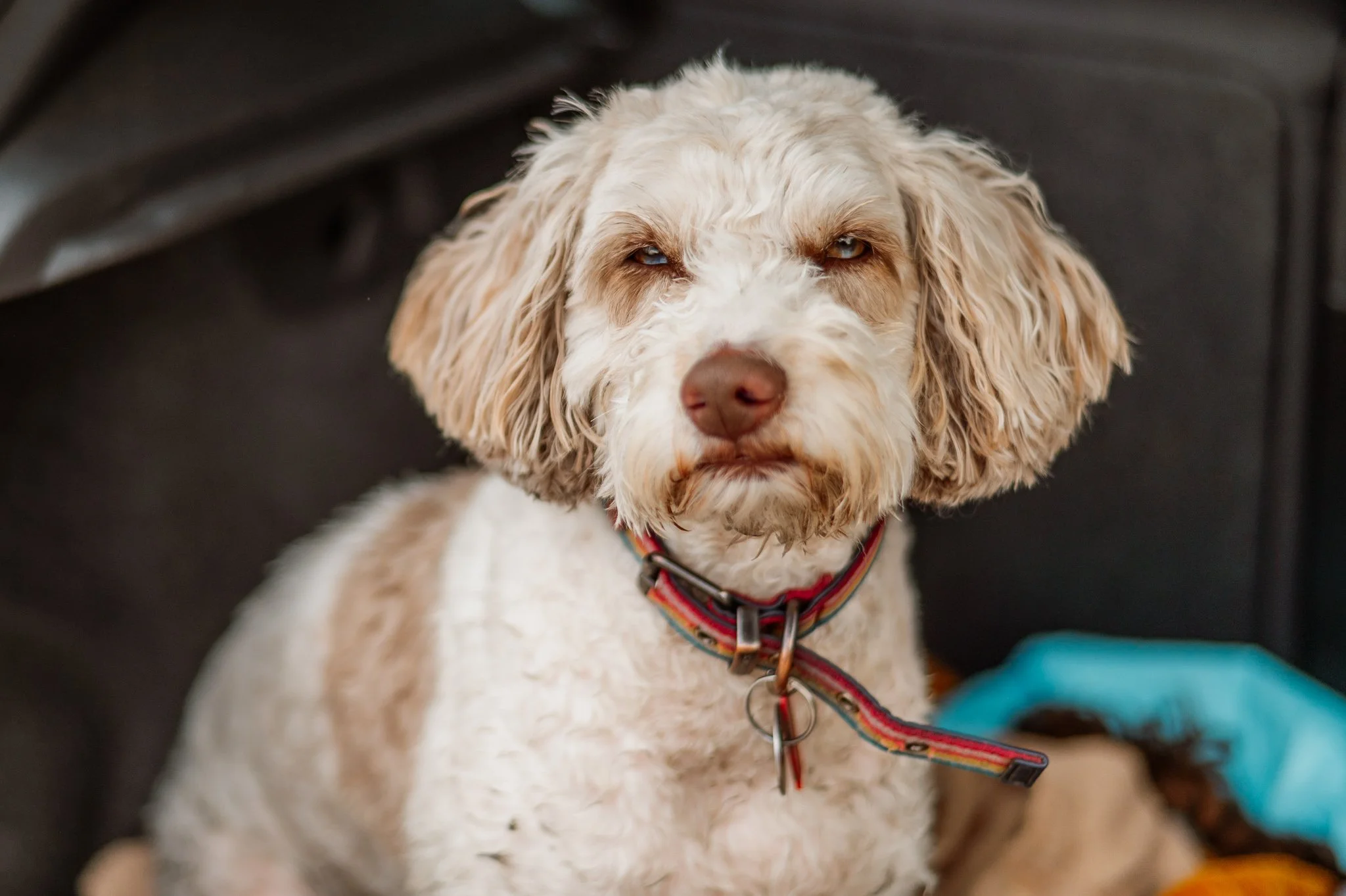 Shibden Blog RAW-143_2048px.jpg
