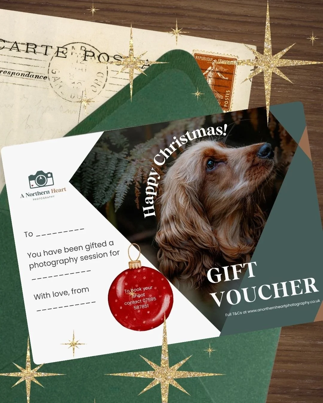 Christmas Dog Photography Gift Vouchers  