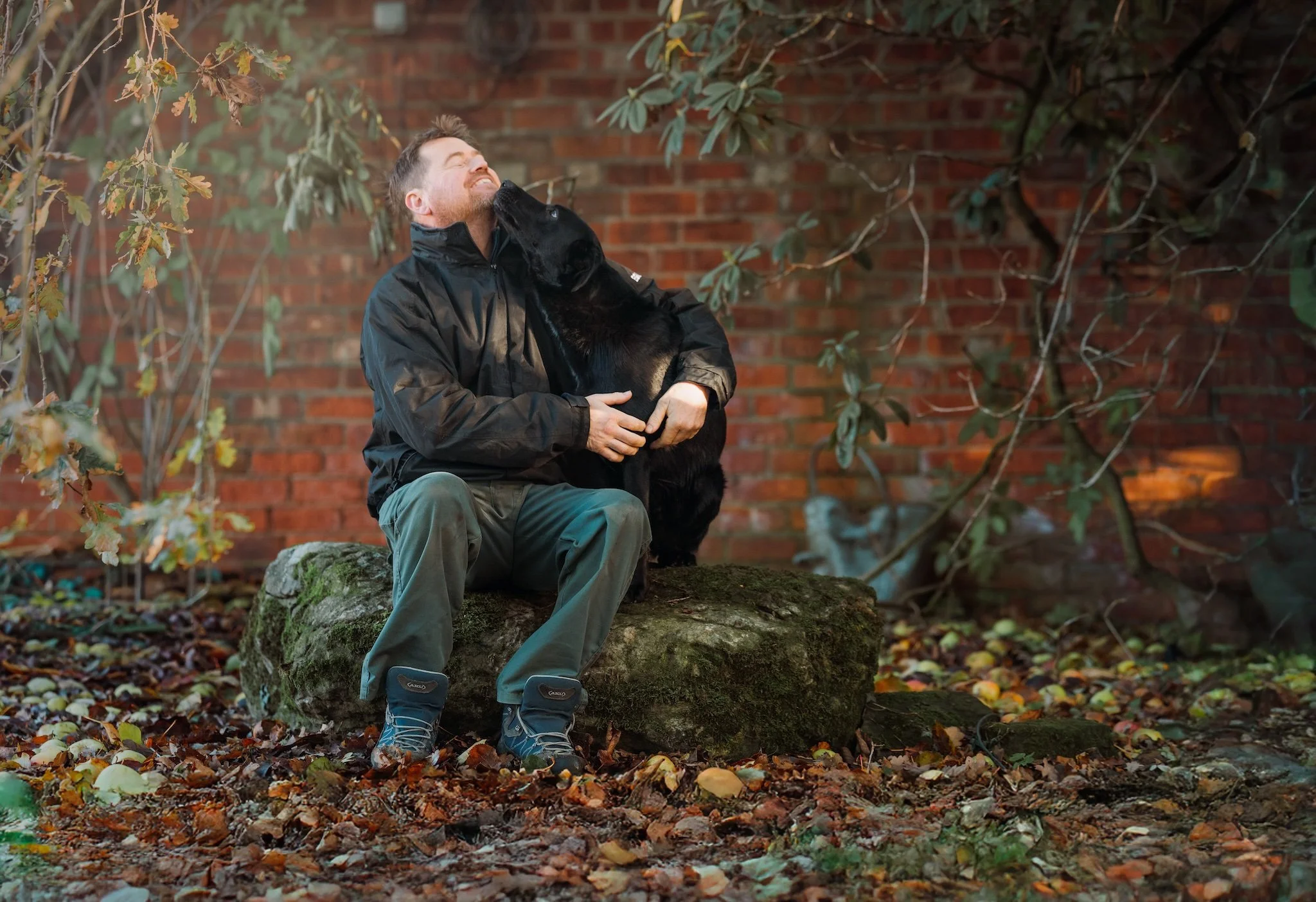 Dog Photography in Easingwold, Yorkshire