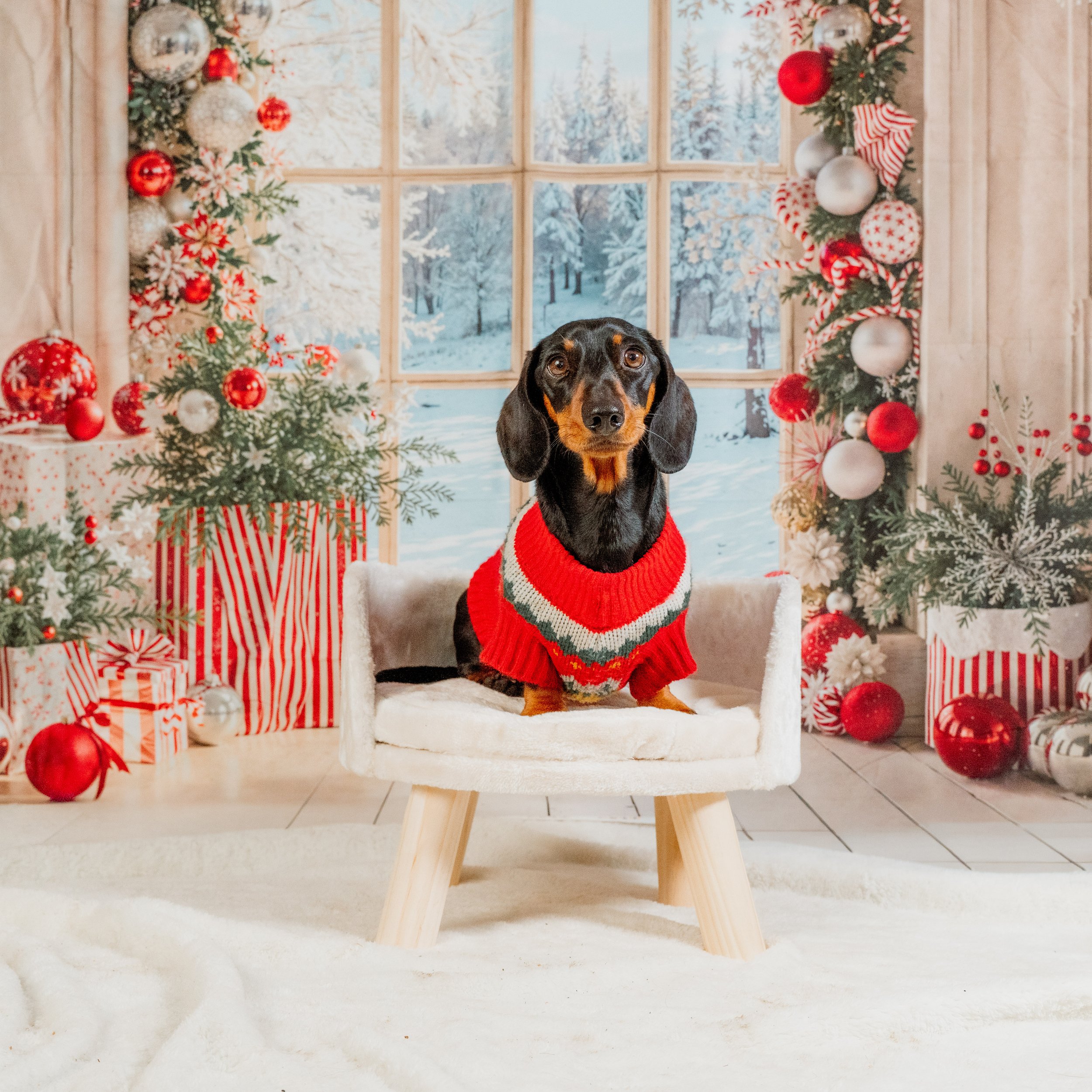 Christmas Mini Shoots at Coco &amp; Barley