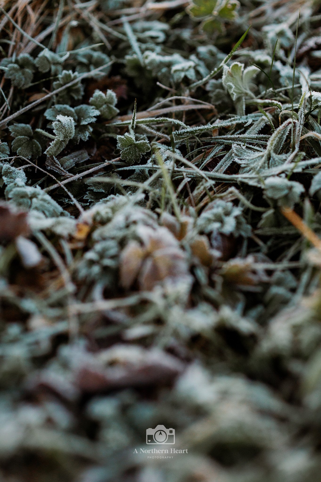 Bronte Country Haworth_5.jpg