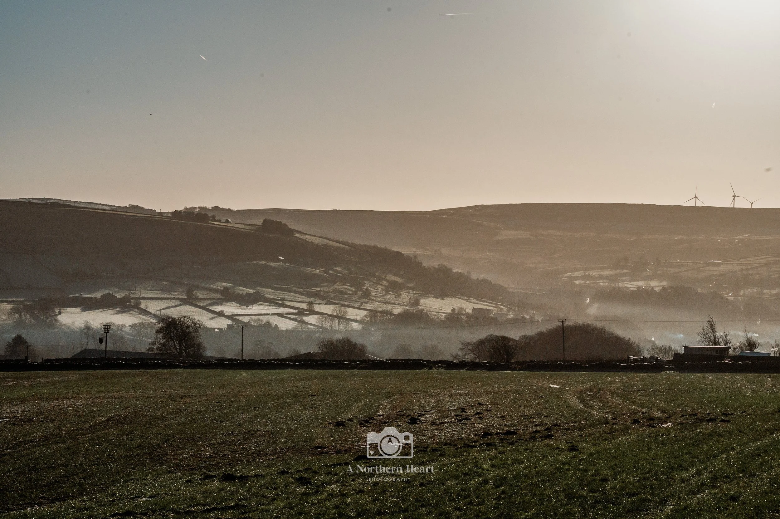 Dog Friendly Haworth_2.jpg