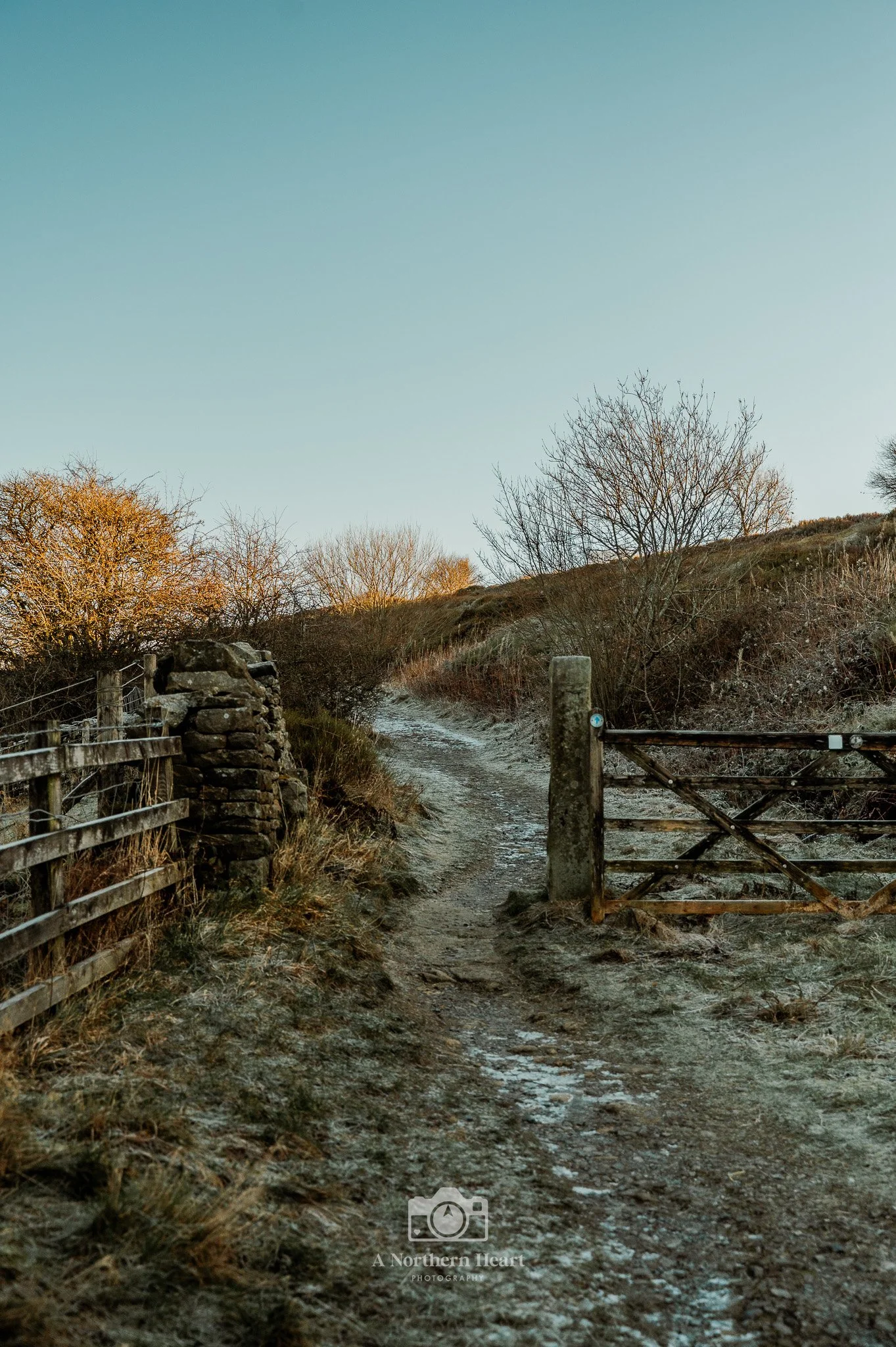 Dog Friendly Haworth_6.jpg