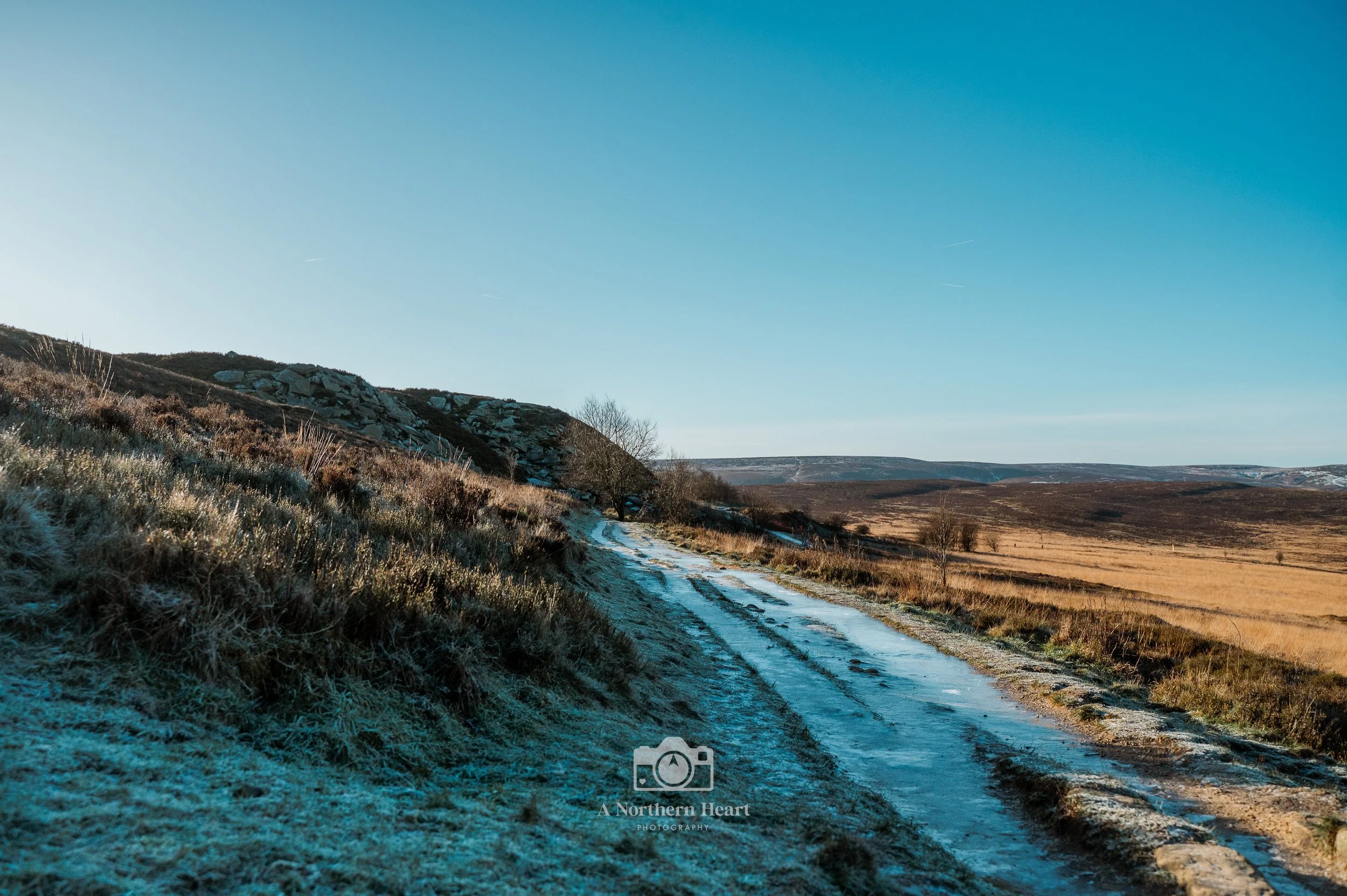 A Perfect Wintry Dog Walk at Penistone Hill Park, Haworth