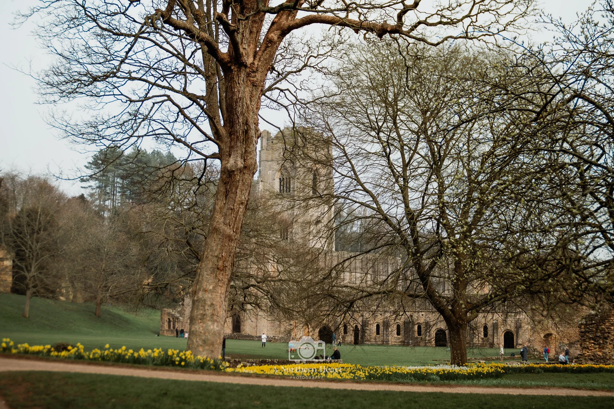fountains abbey spring yorkshire