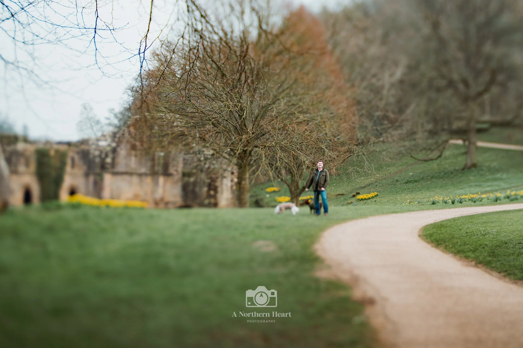 dog walks national trust