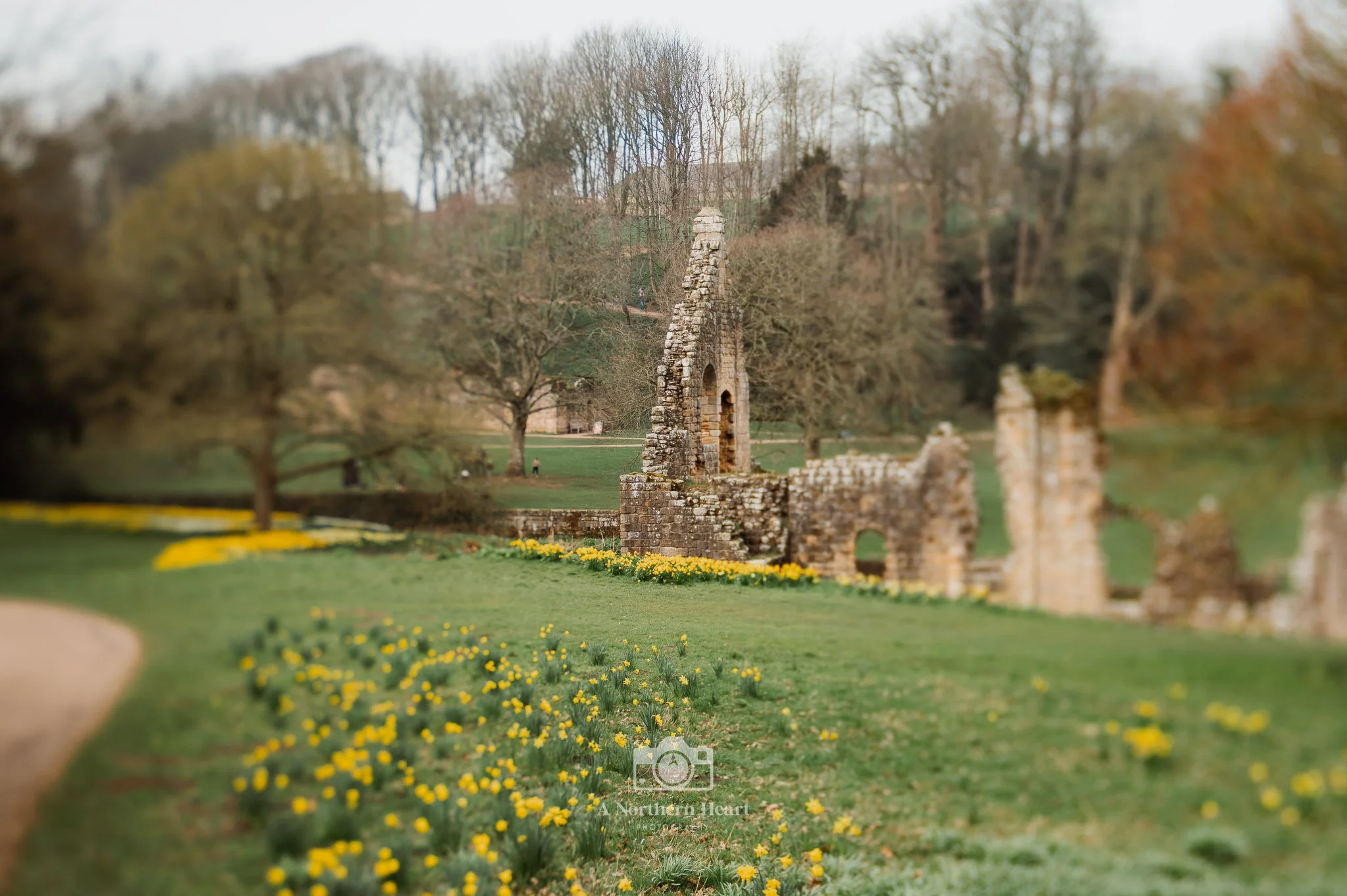 can dogs go in gardens fountains abbey