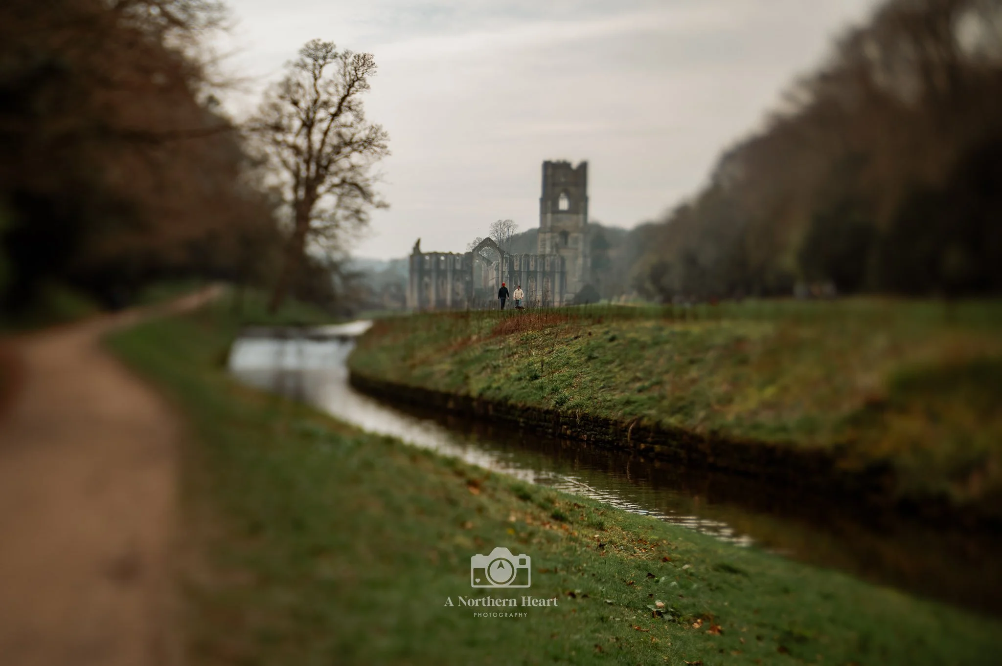 dog friendly places yorkshire