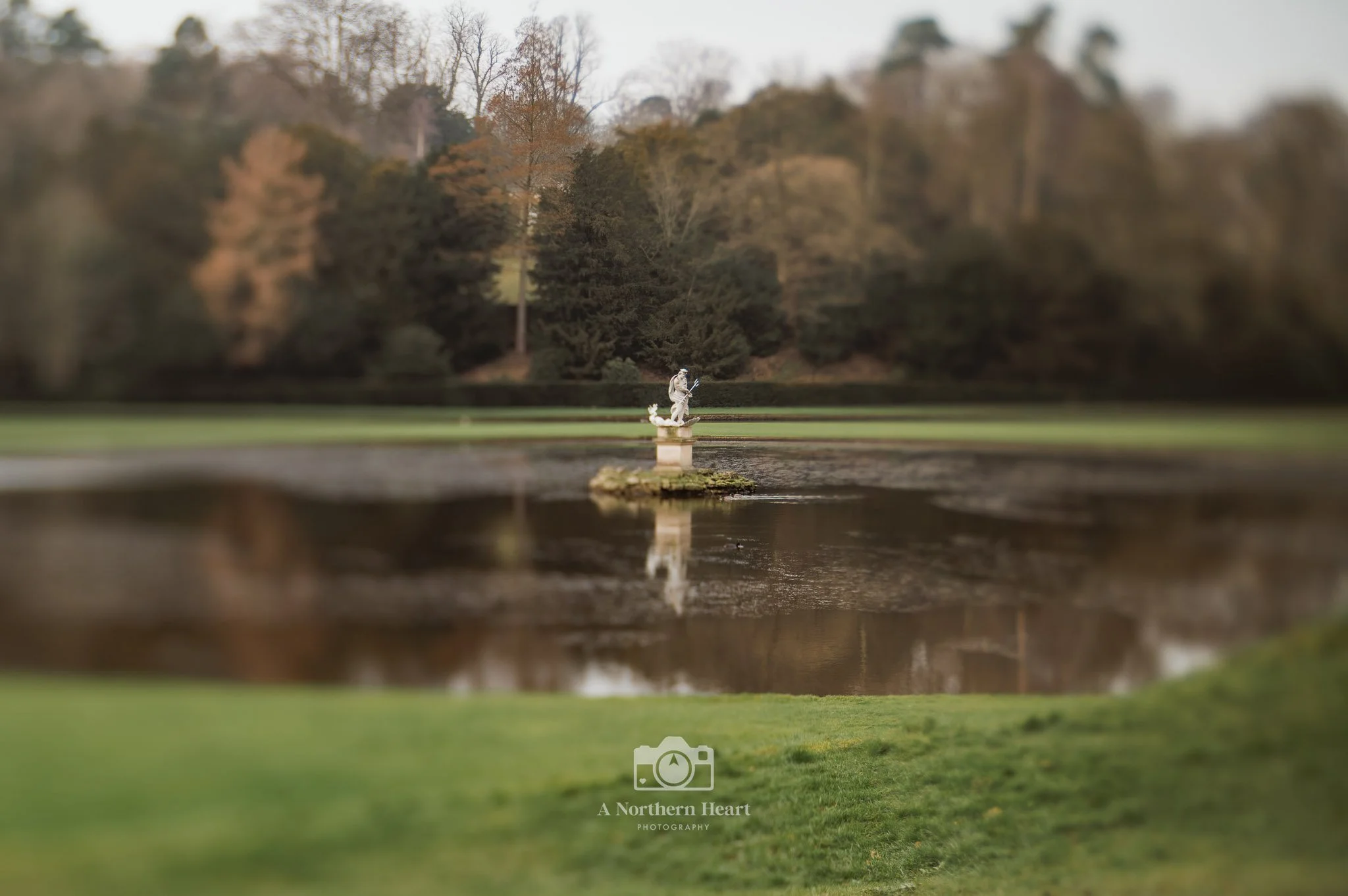 weekends away with the dogs