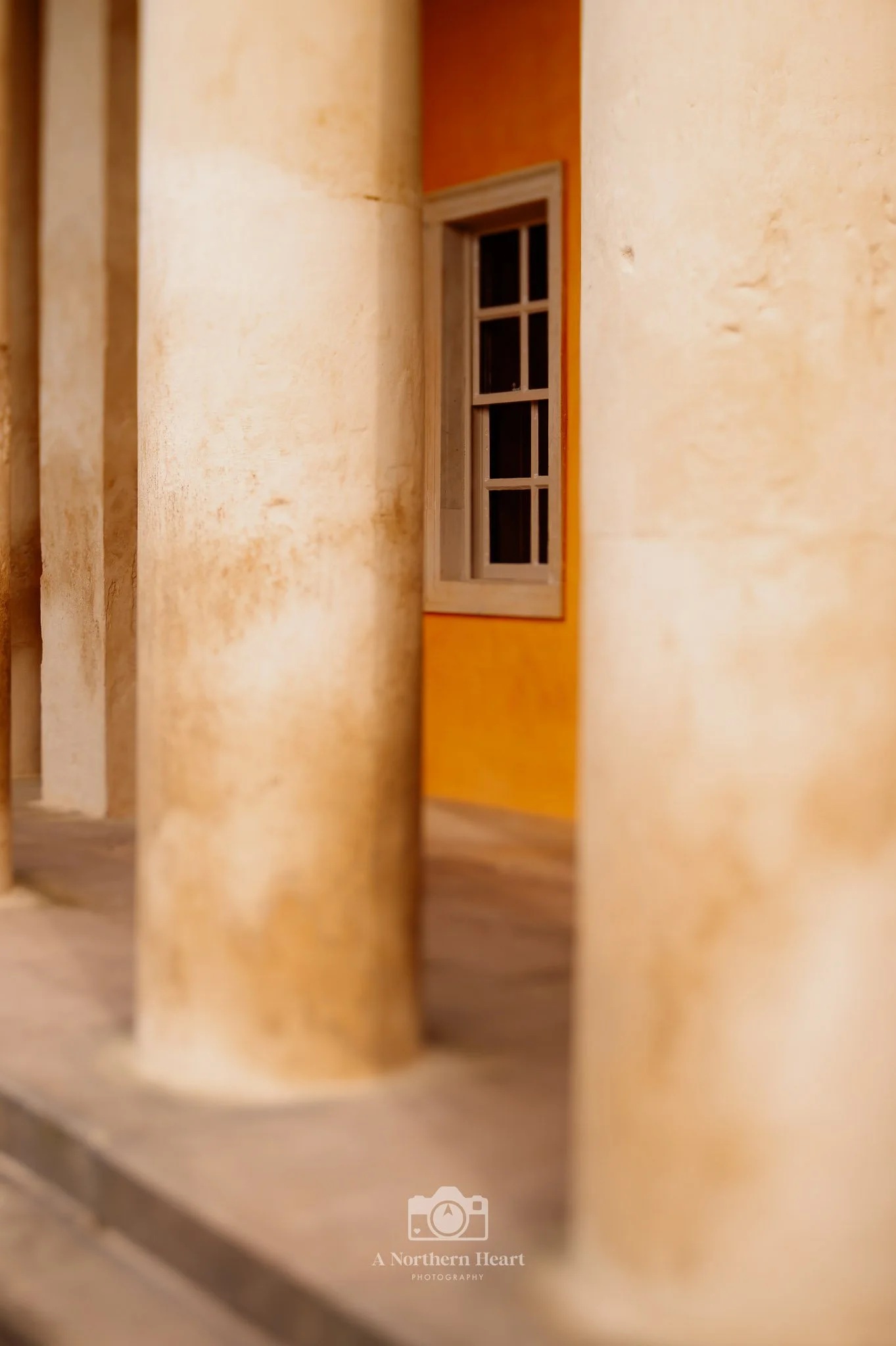fountains abbey yorkshire