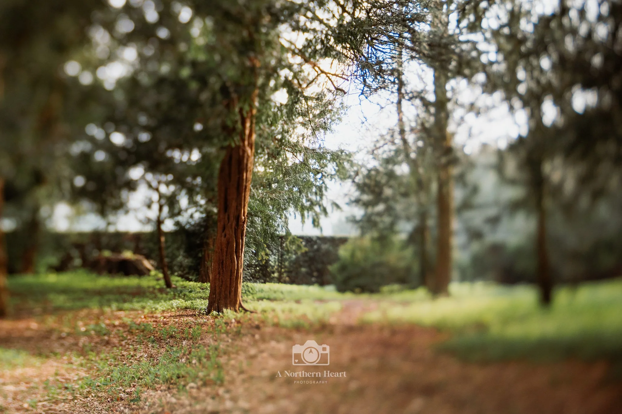 places to go yorkshire