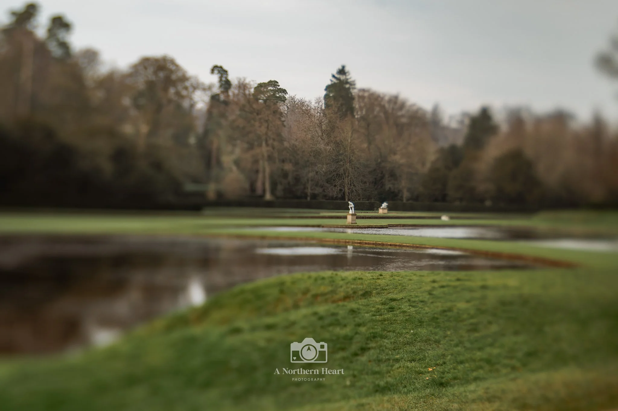 Days out with the Dog: Early Spring at Fountains Abbey &amp; Studley Royal
