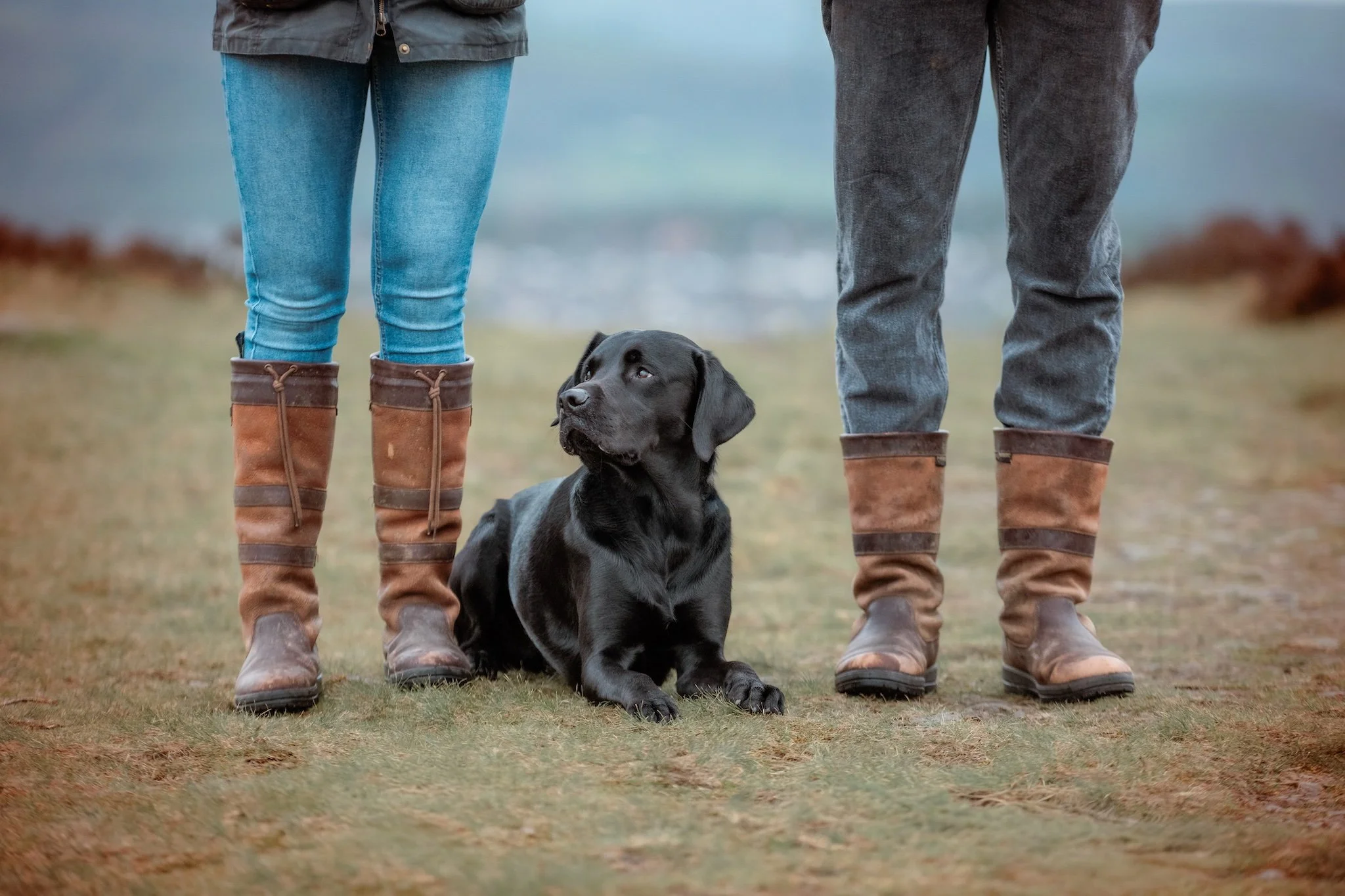 dog photoshoot gift voucher.jpeg