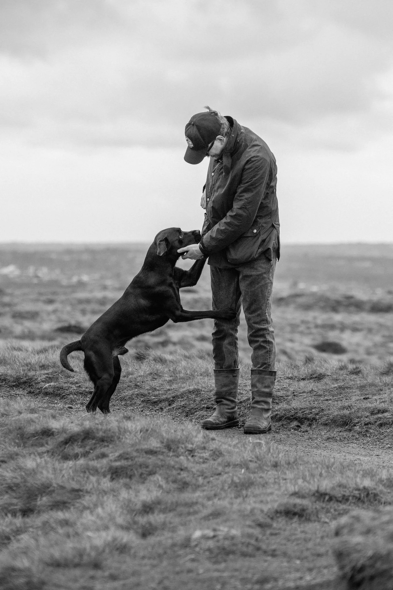 dog photography baildon moor.jpeg