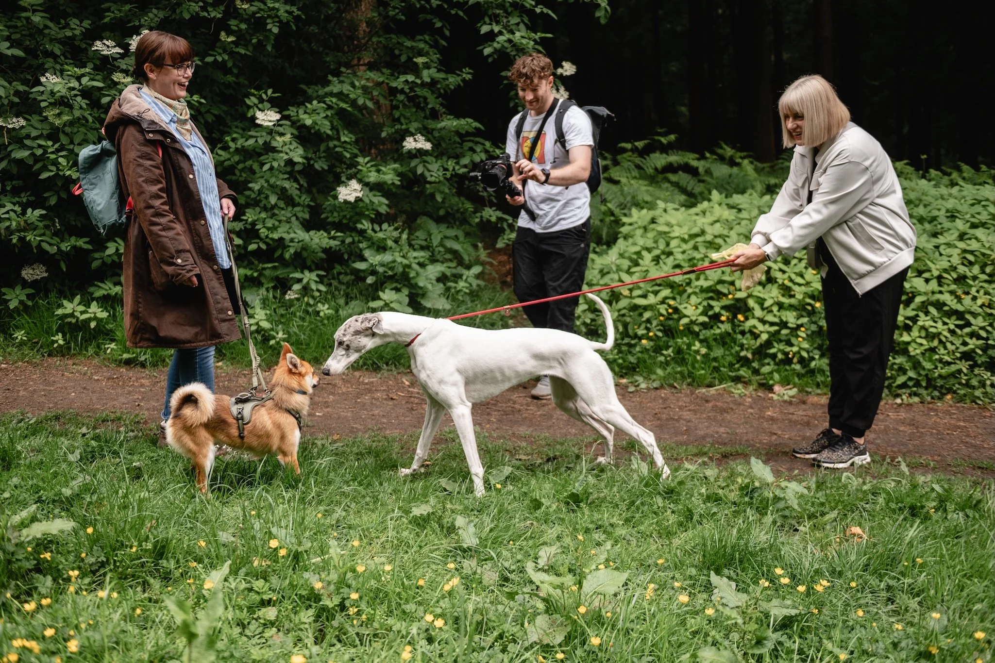 dog photoshoot bts.jpg