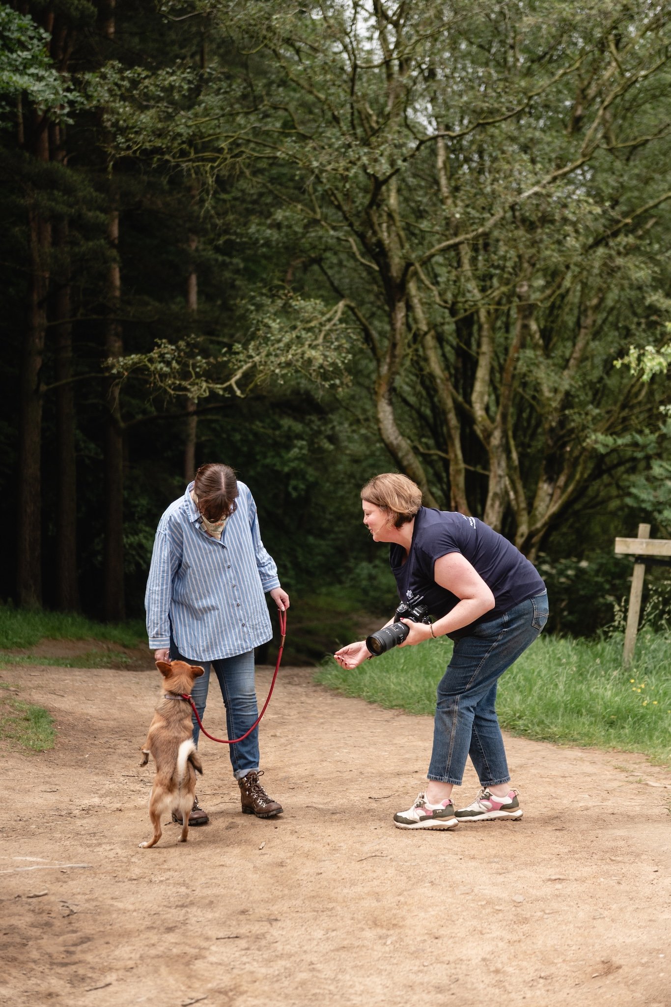 dog photoshoot gift vouchers experience.jpg