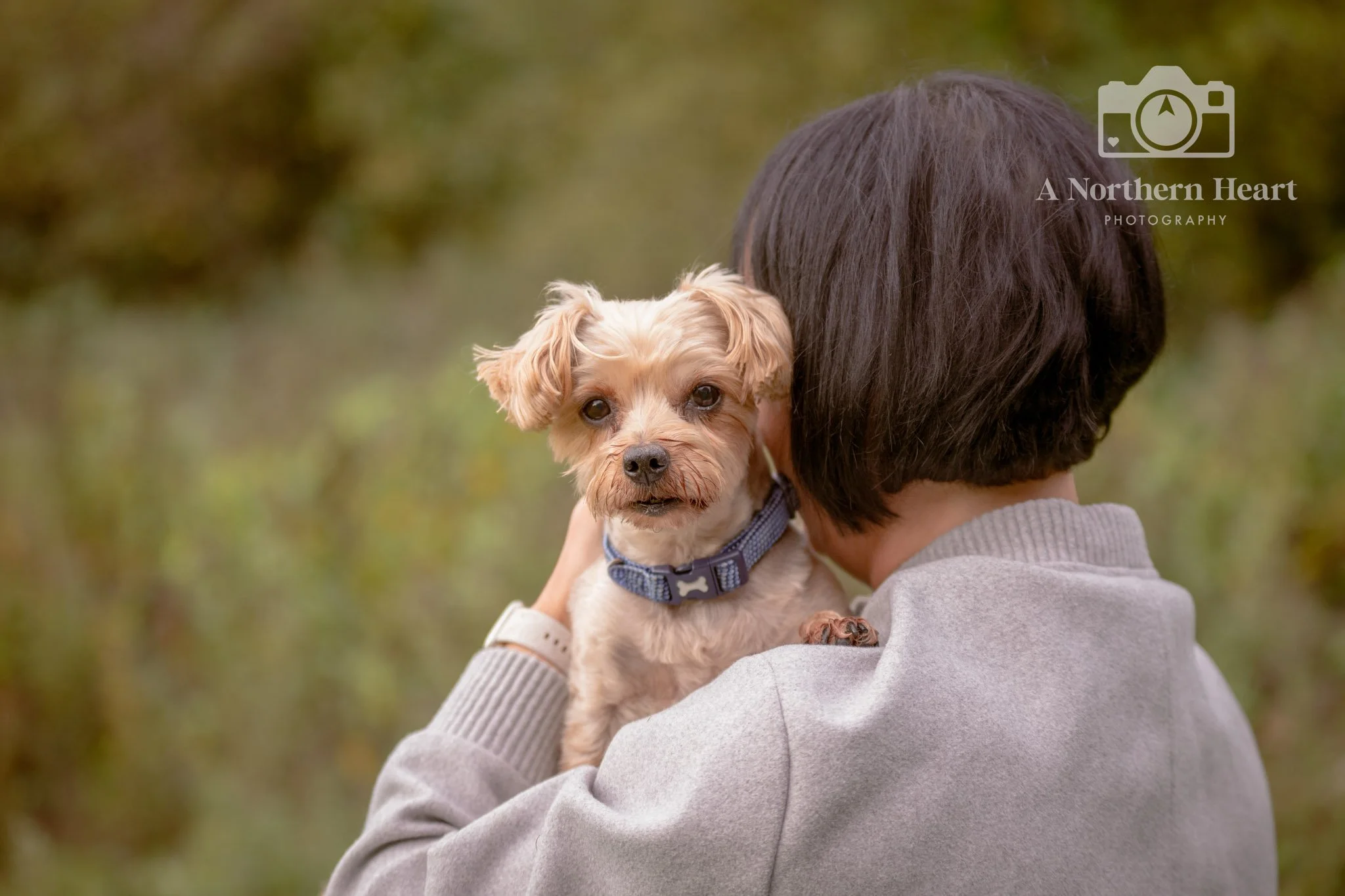 dog photography oakwell hall birstall_3.jpg