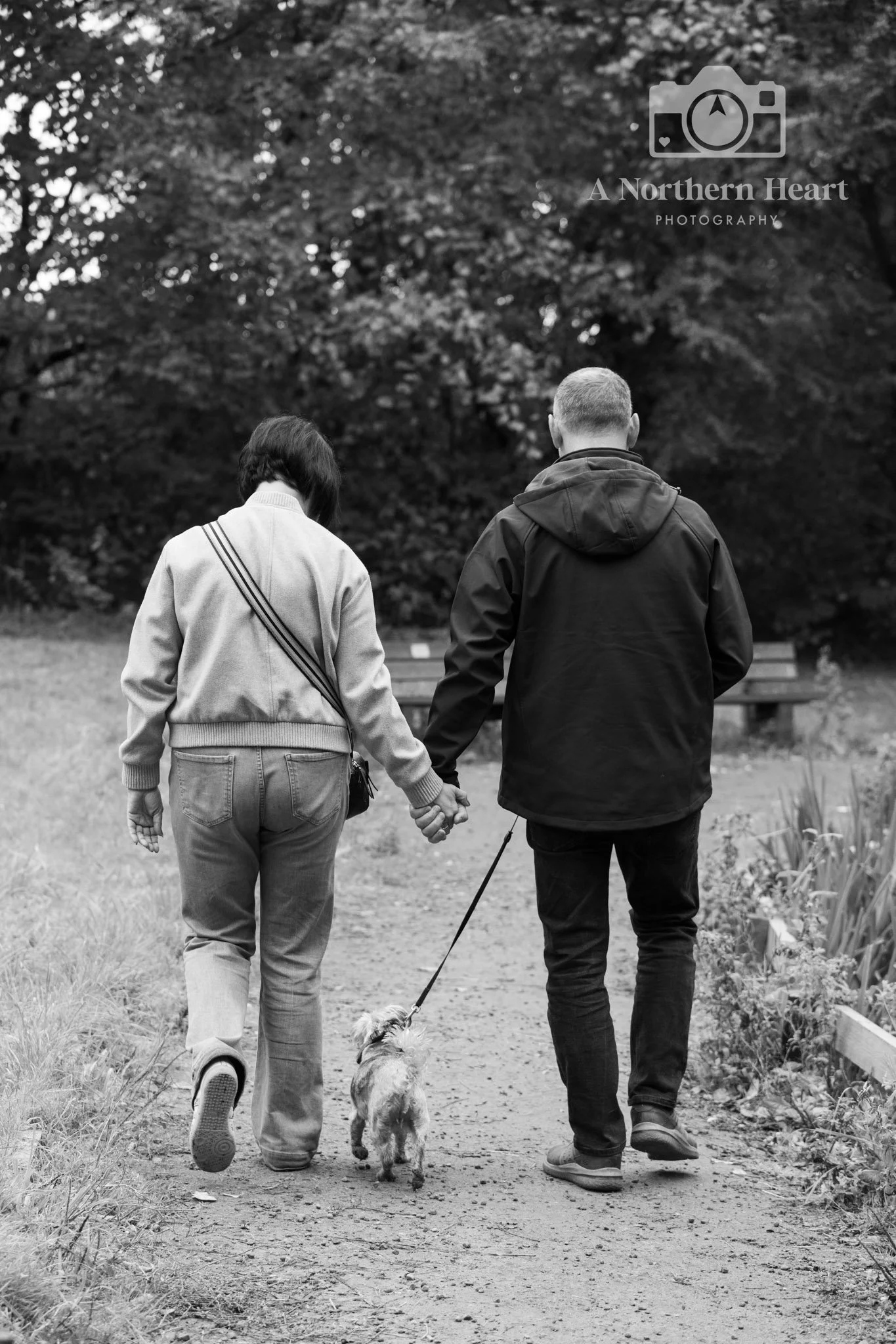 dog photography oakwell hall birstall_8.jpg