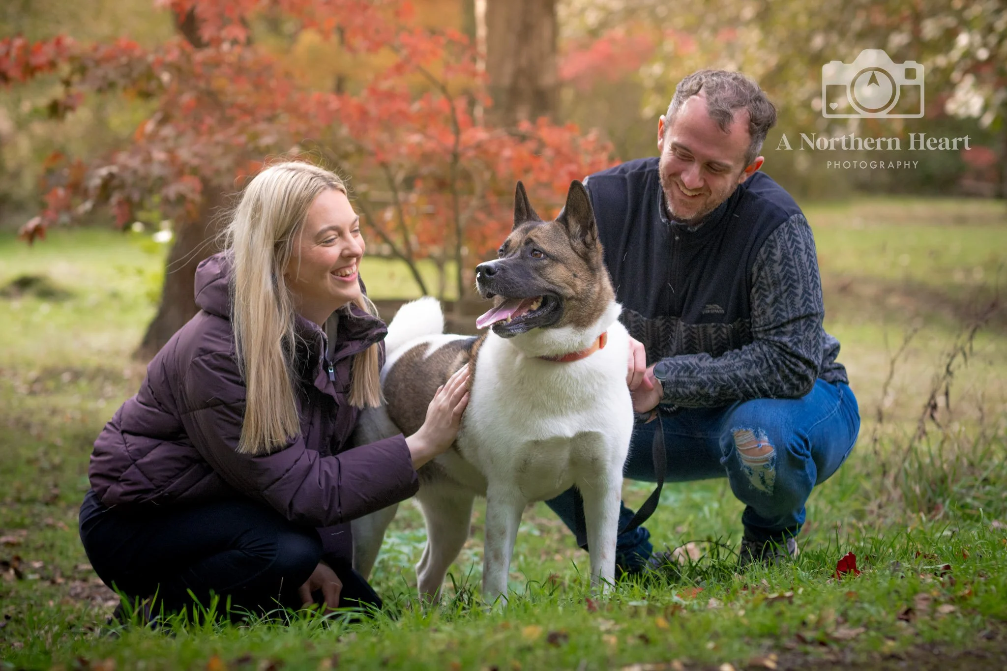 dog photoshoot gift voucher leeds_6.jpg