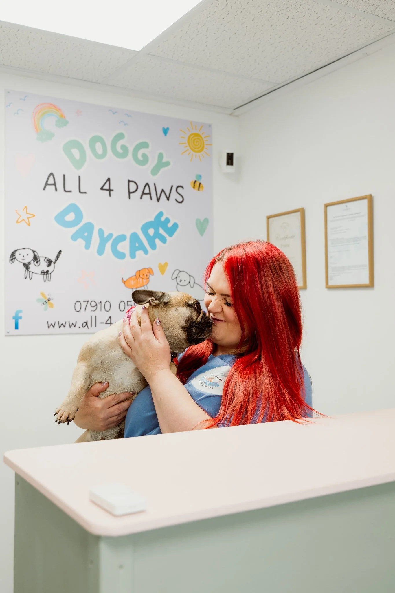 all 4 paws doggy daycare Leeds