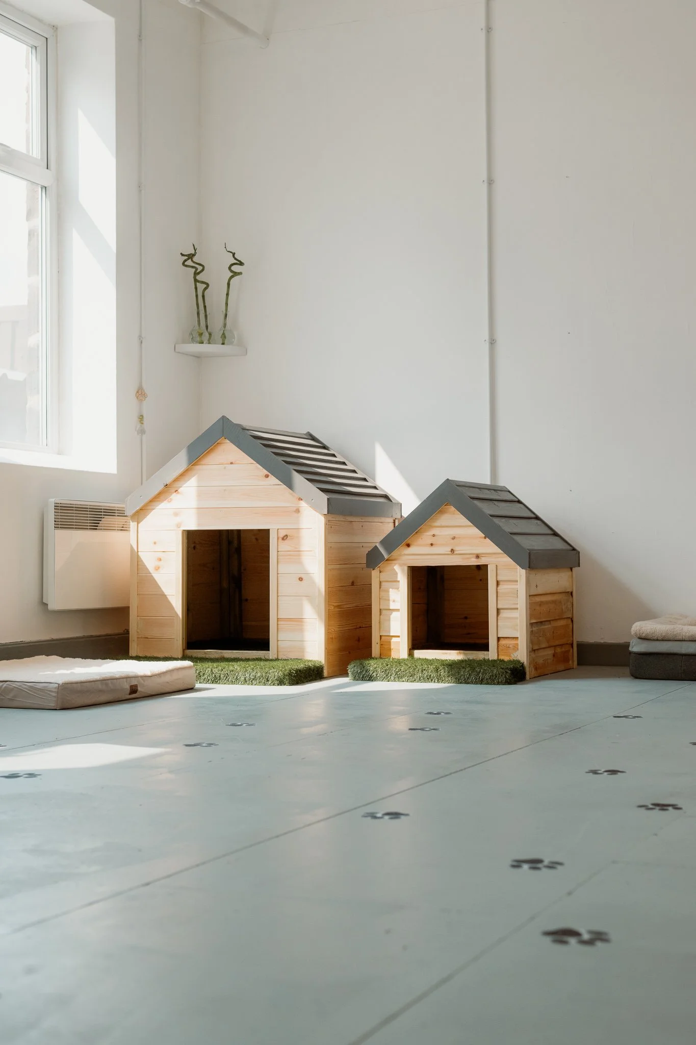 all 4 paws daycare Guiseley
