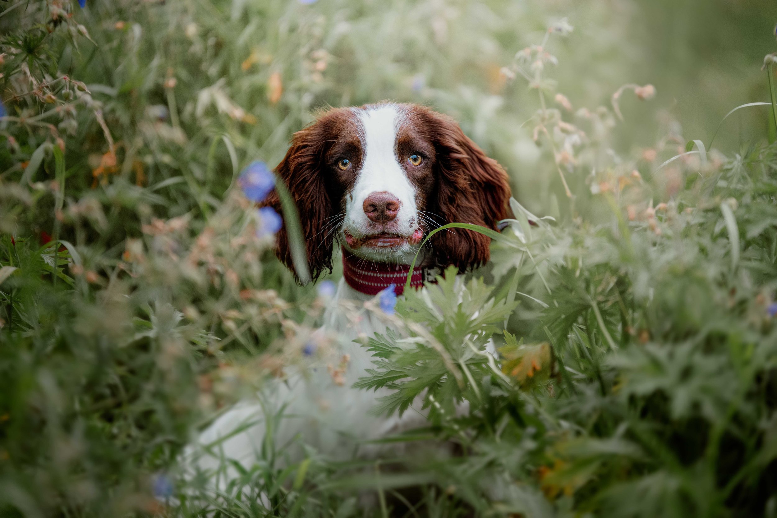 Marnie-38-Edit_web.jpg