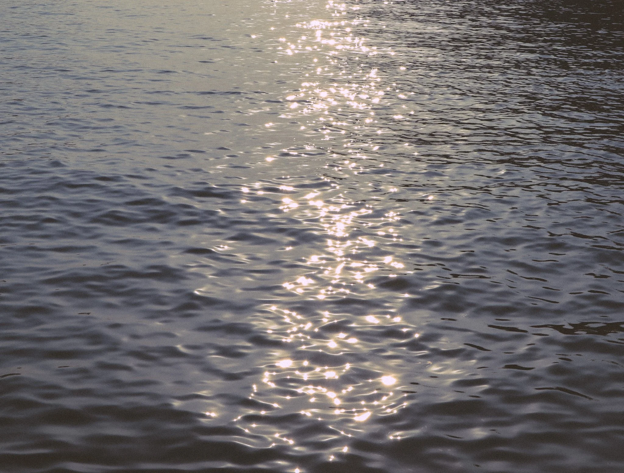 IMG-1849.JPG