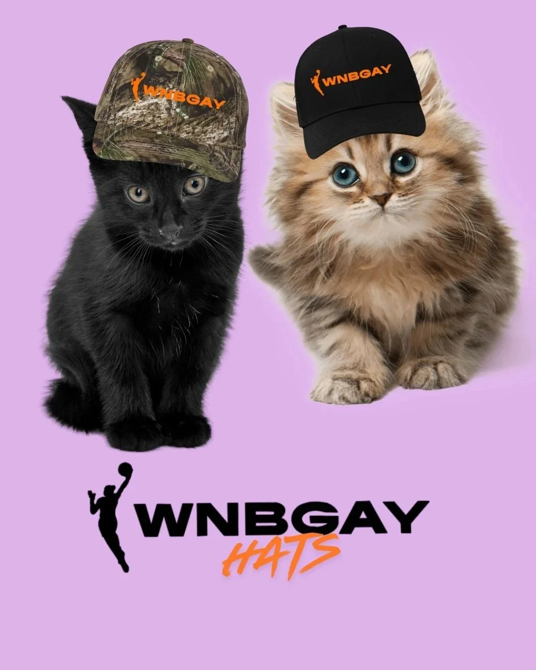 WNBGAY.hats.webimage.jpg