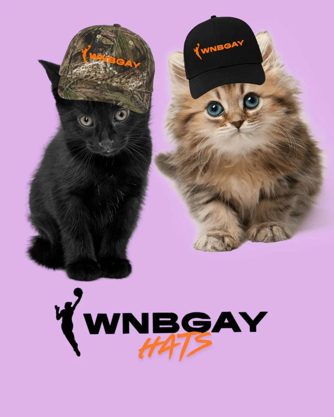WNBGAY Hats: Black or Camo