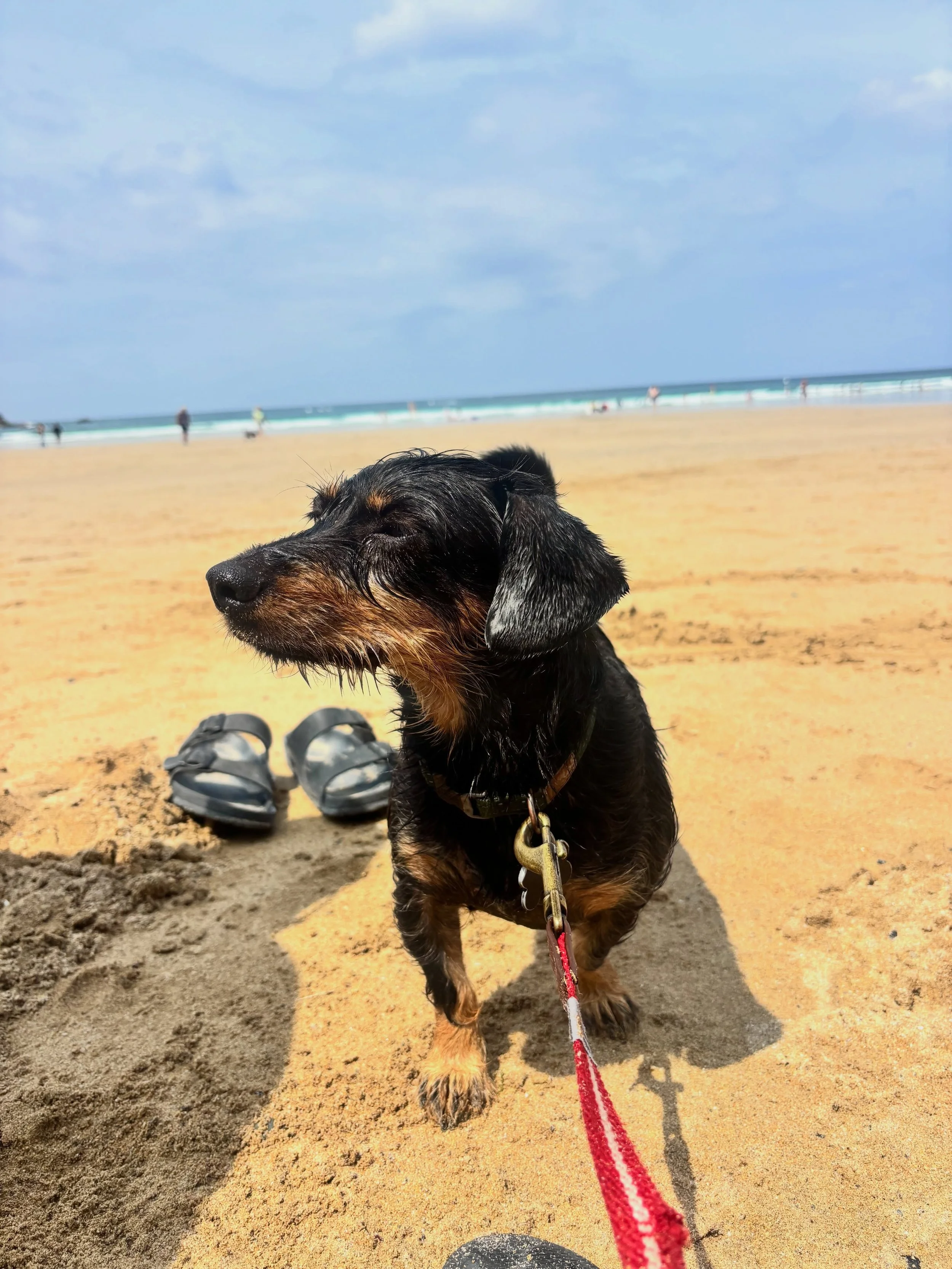 Cornwall photo dump 🌊🐾🍴

A weekend of salty hair, cliff walks, beach zoomies, good food, and even better company.

Rufus definitely thinks he lives there now&hellip; and honestly, I can&rsquo;t say I blame him. 🤍

Back to reality with a full came