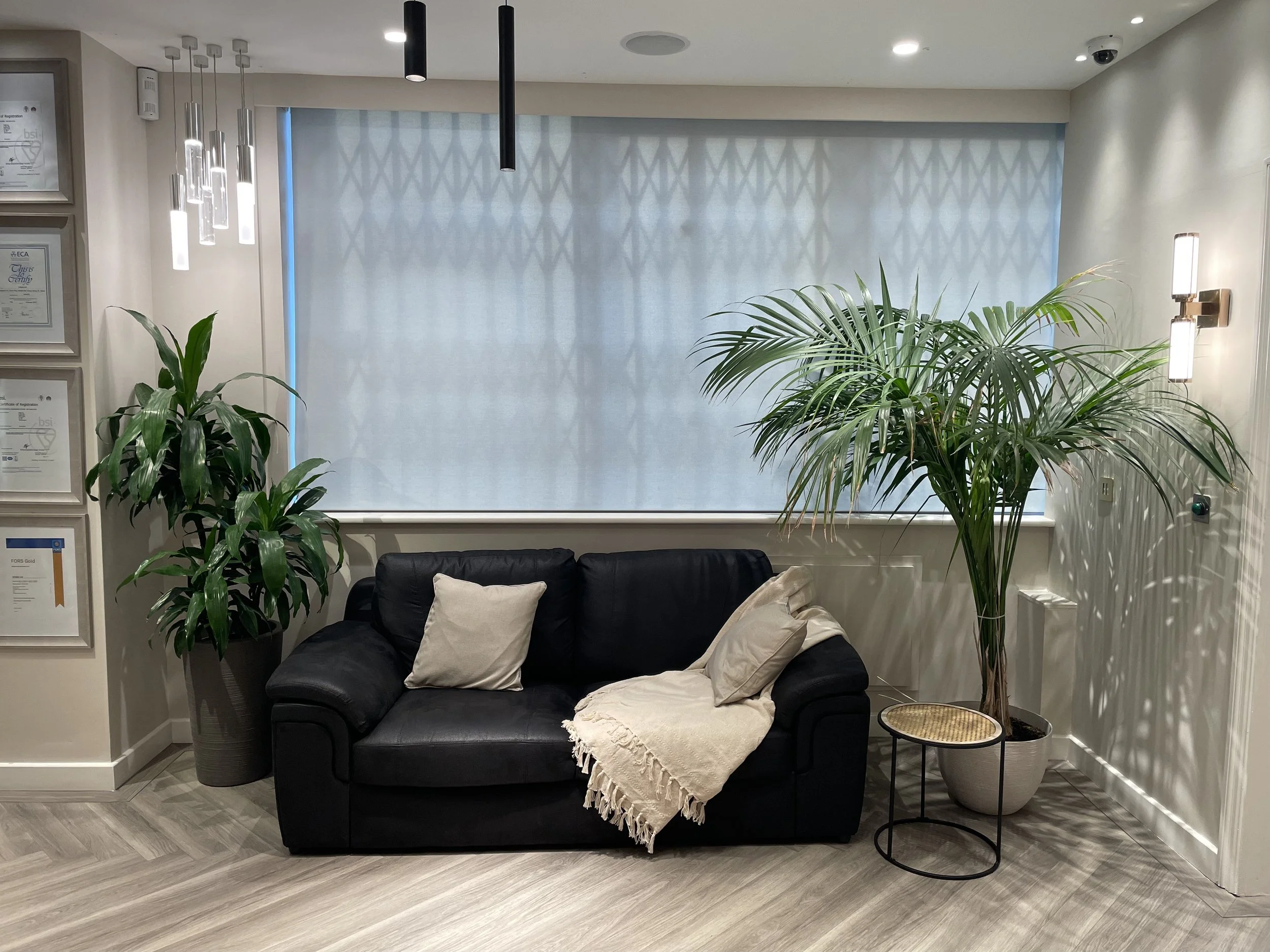 A modern lounge area with a black leather sofa, beige throw blanket, and pillows. There are two large green potted plants, wall-mounted lights, and a window with a light blue roller shade. The floor has a wood-style pattern.
