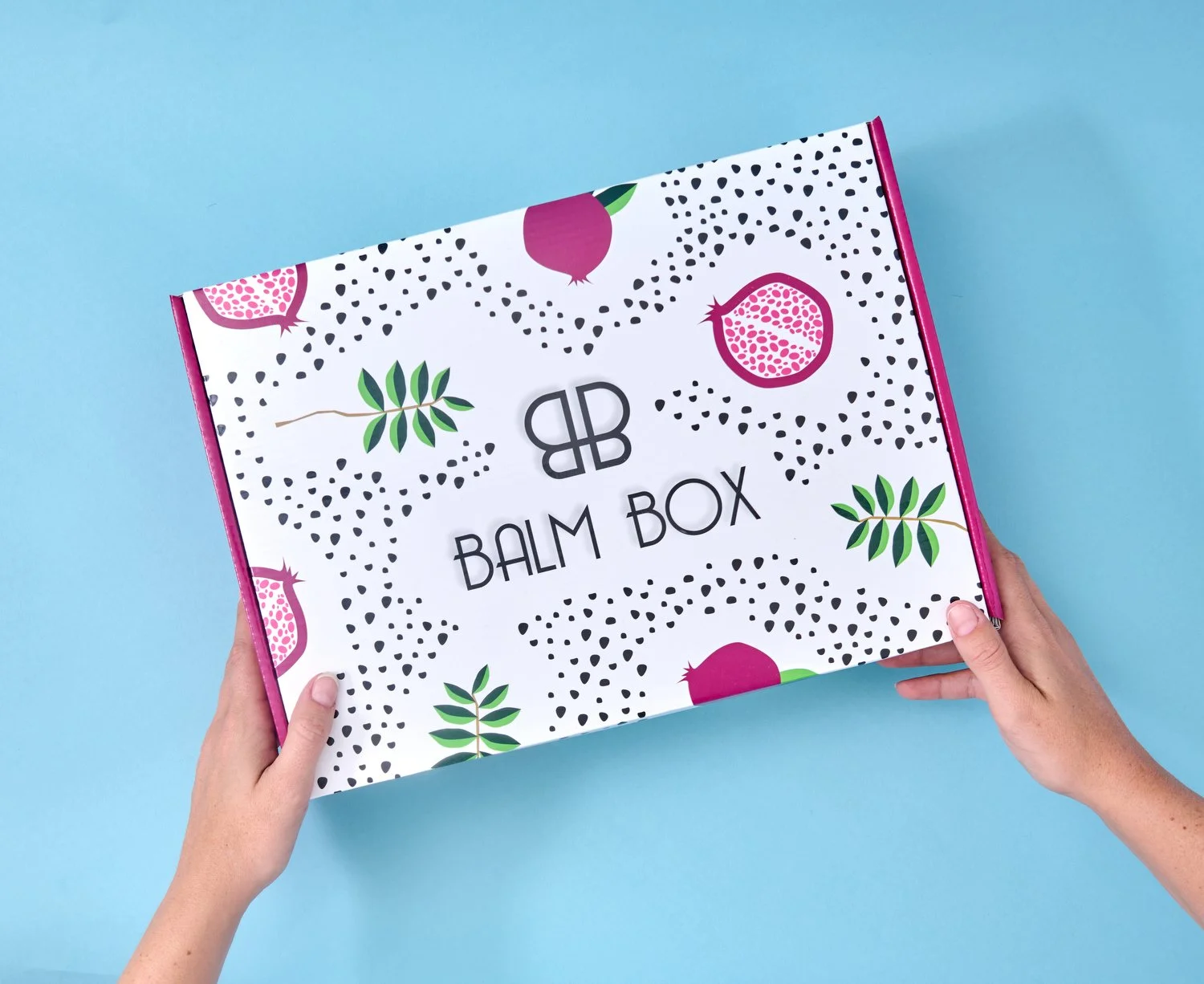 BOX1-h.JPG