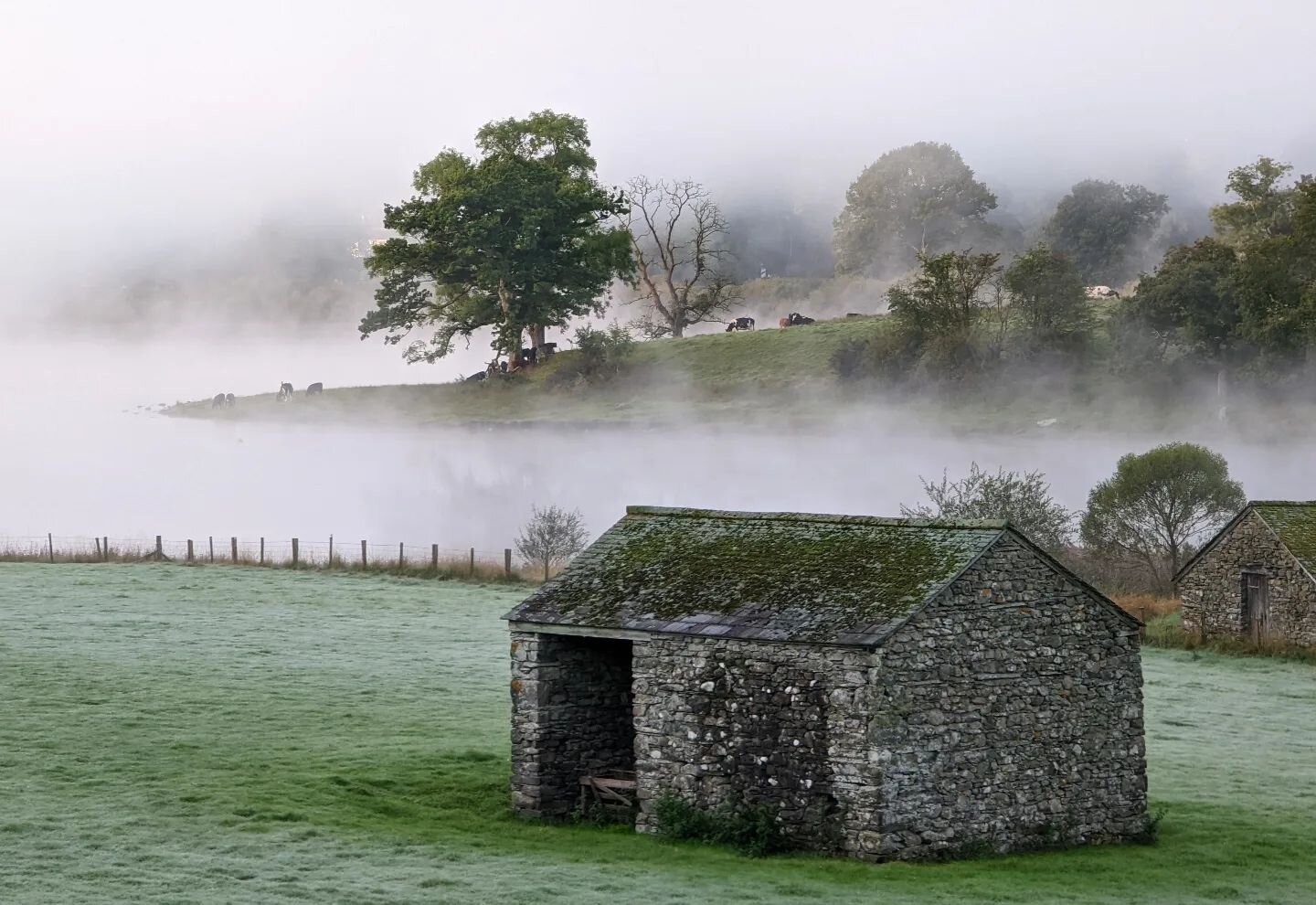Hawks head - Lake District morning fog and frost

#lakedistrict #fog #frost #barns #lake #tree #cows #morning #sunrise #photography #landscapephotography #landscape #instagood #holiday #uk