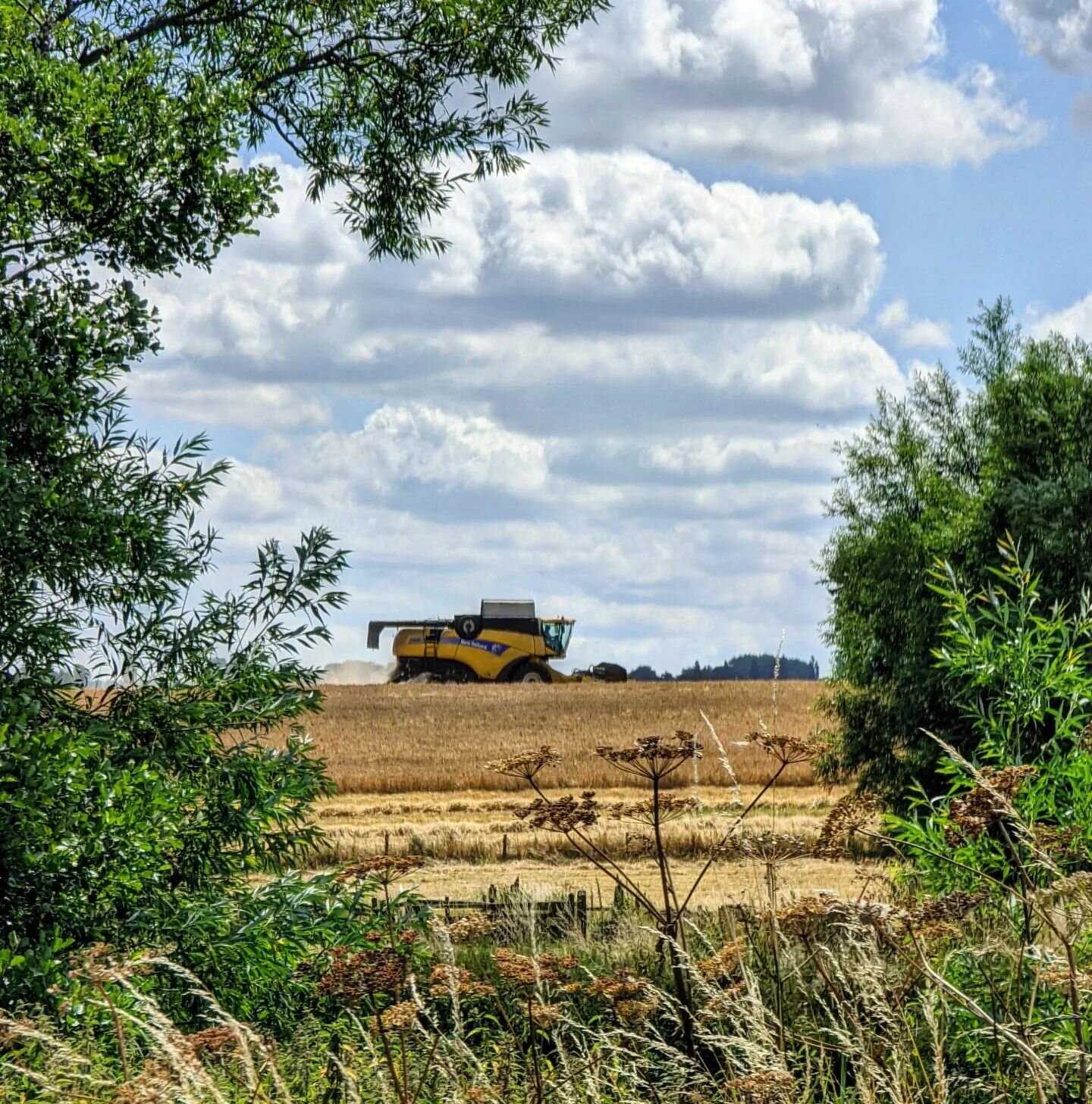 River Avon

#landscape
#countryside 
#farming
#sky
#trees
#combineharvester