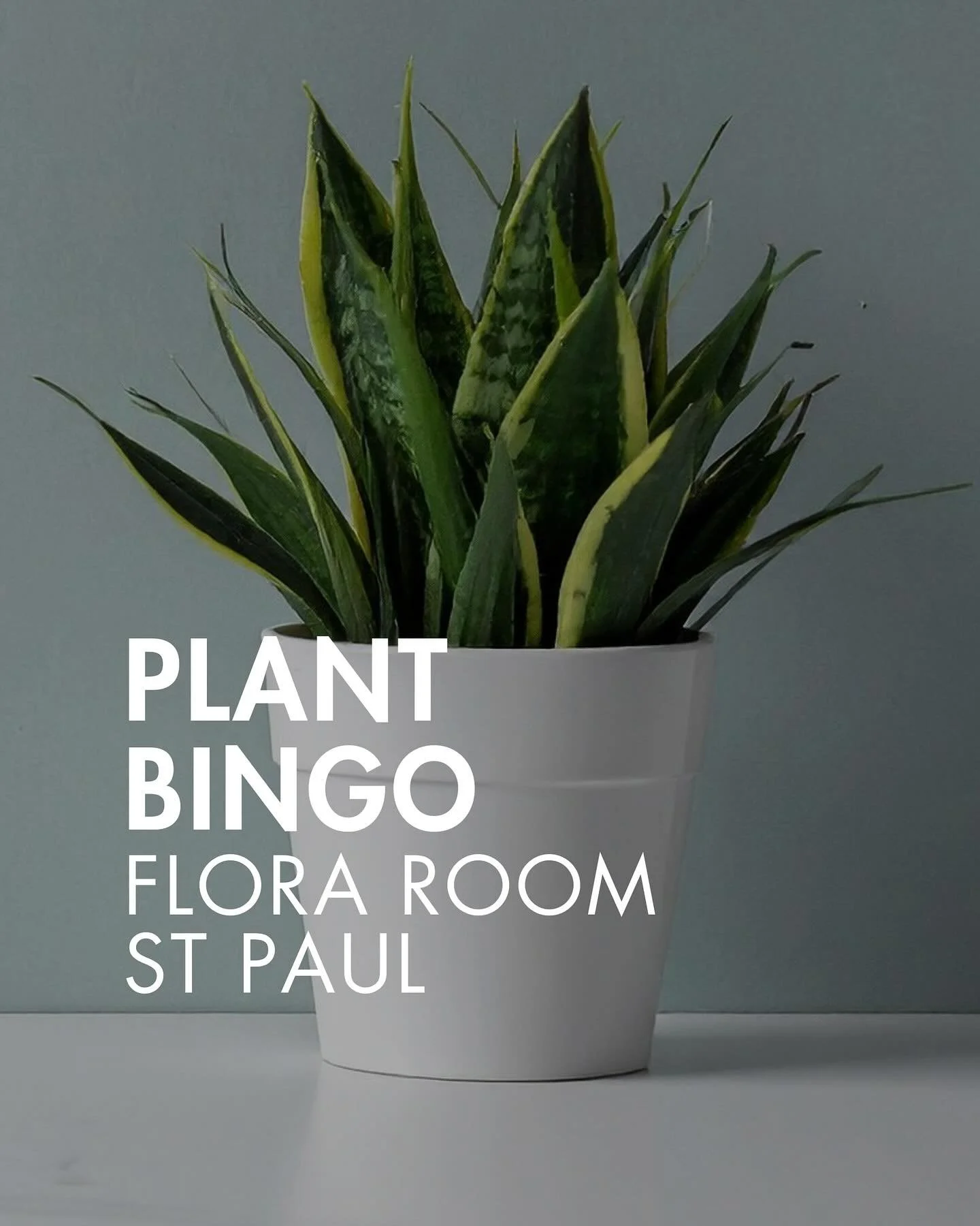 A fun spin on bingo this weekend in the Twin Cities&hellip; 🌱

Instead of cash, win new house plants! It&rsquo;s twenty bucks to play!

PLANT BINGO
8 November, 12 - 2 pm
Flora Room, South St Paul

👋 Want more ideas of things to do in Minneapolis - 