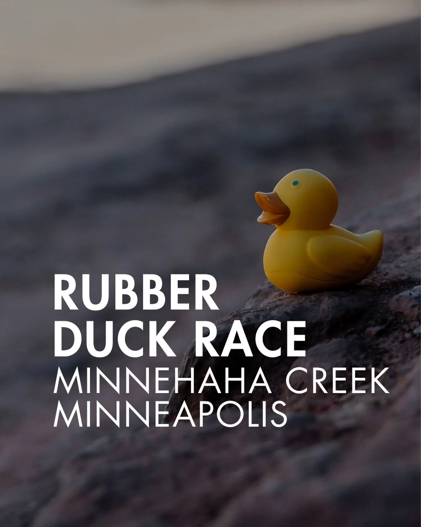 What if I told you hundreds of people gather to race rubber duckies down Minnehaha Creek in Minneapolis? 😂

Along with the race, there are tons of activities going on like live music, face painting, an obstacle course, food trucks, touch a truck wit