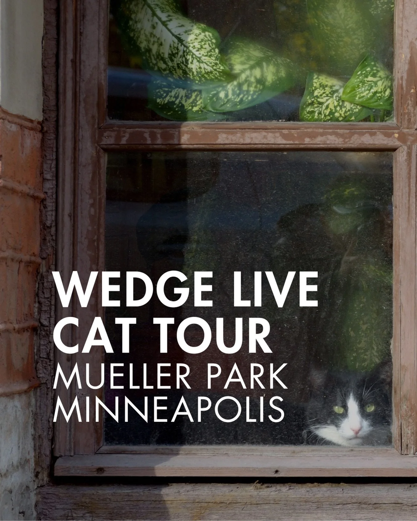 😻 Jot this down, cat lovers&hellip;

The 9th annual Minneapolis Wedge LIVE Cat Tour is coming up!

Meet at Mueller Park and tour the neighborhood pointing out cats&hellip;and maybe even meet a few whisker to whisker. 

And if you live in the Wedge N