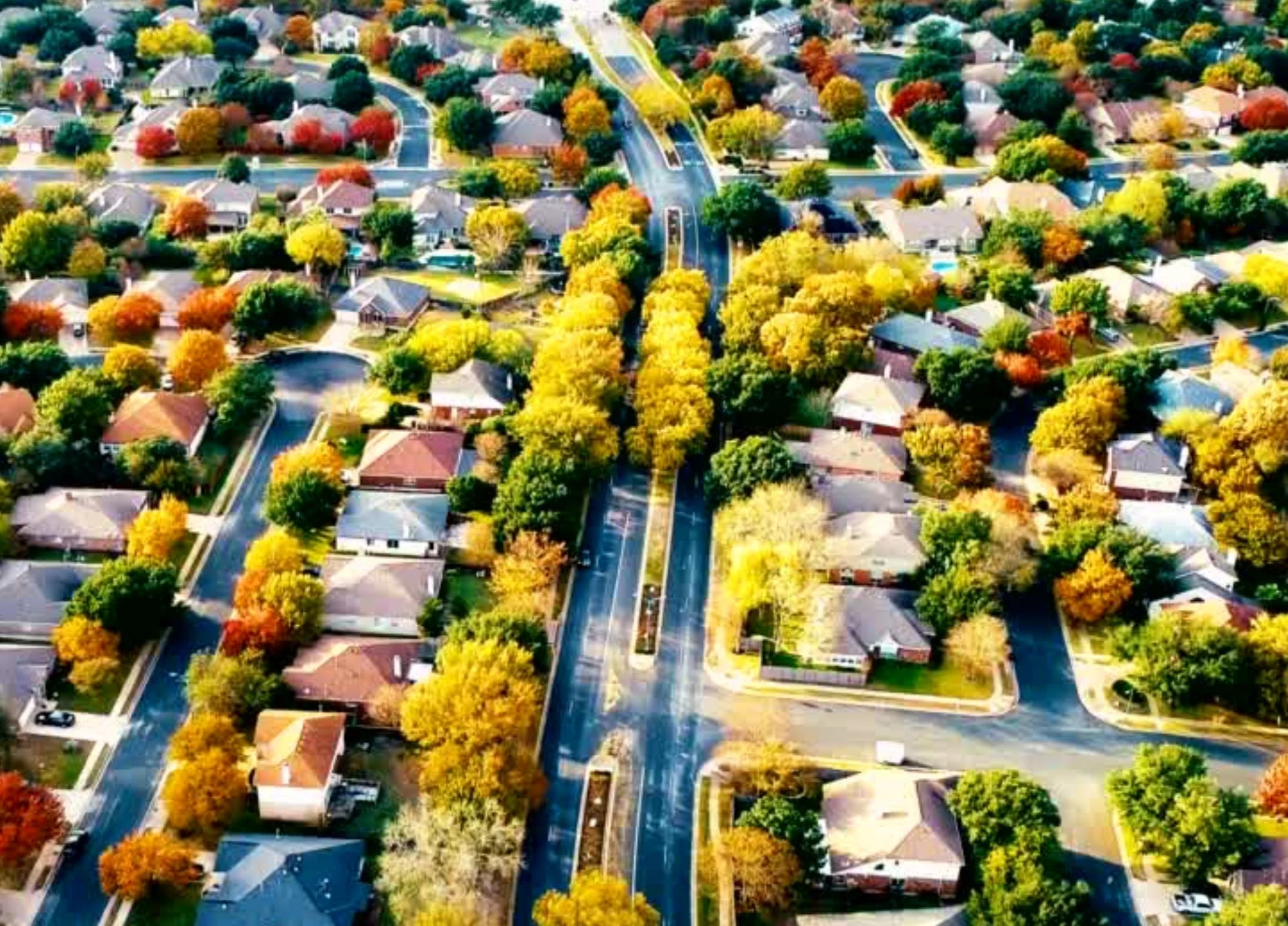 WAITE PARK — STEPHANIE ROSENER Northeast Minneapolis Realtor