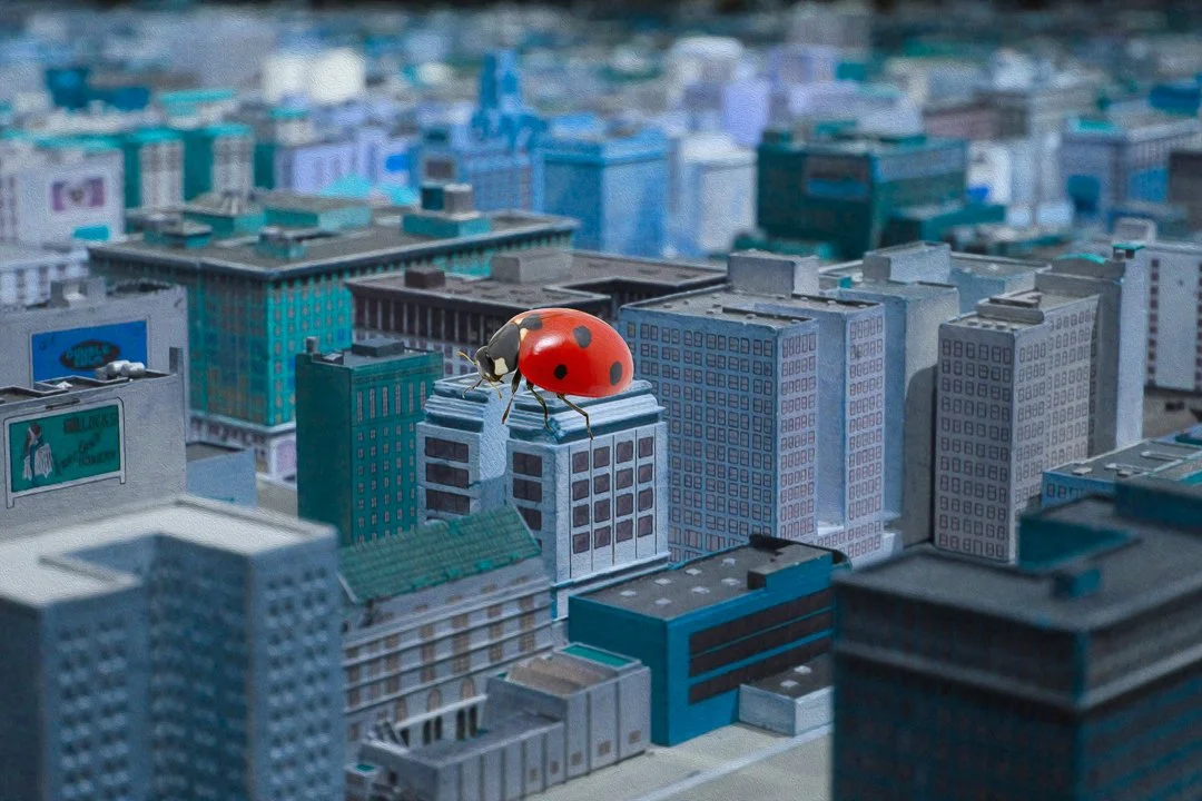 ladybug city