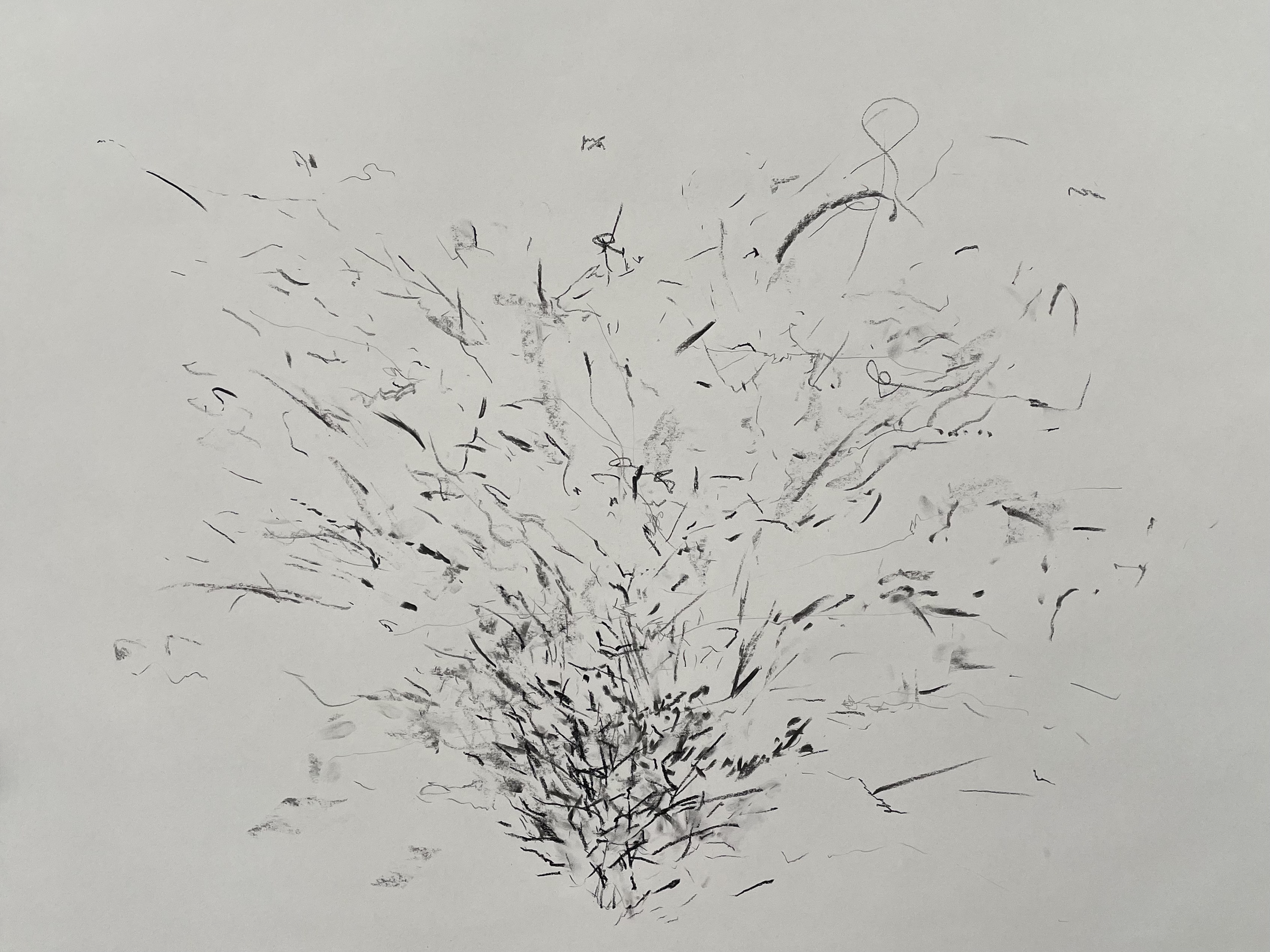 Mind Body Beat, 18x24 in, charcoal pencil, conte crayon, graphite pencil