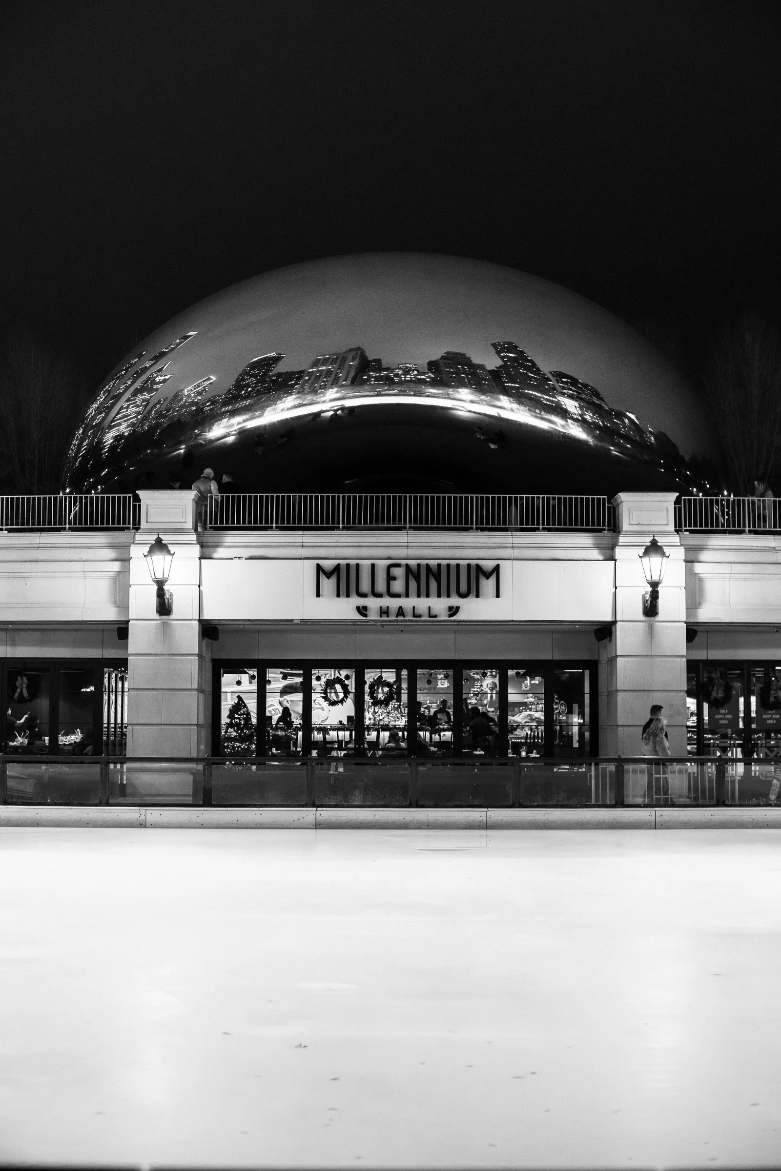 ChicagoCityyBeautifulBlackandWhitePhotography-59.jpg