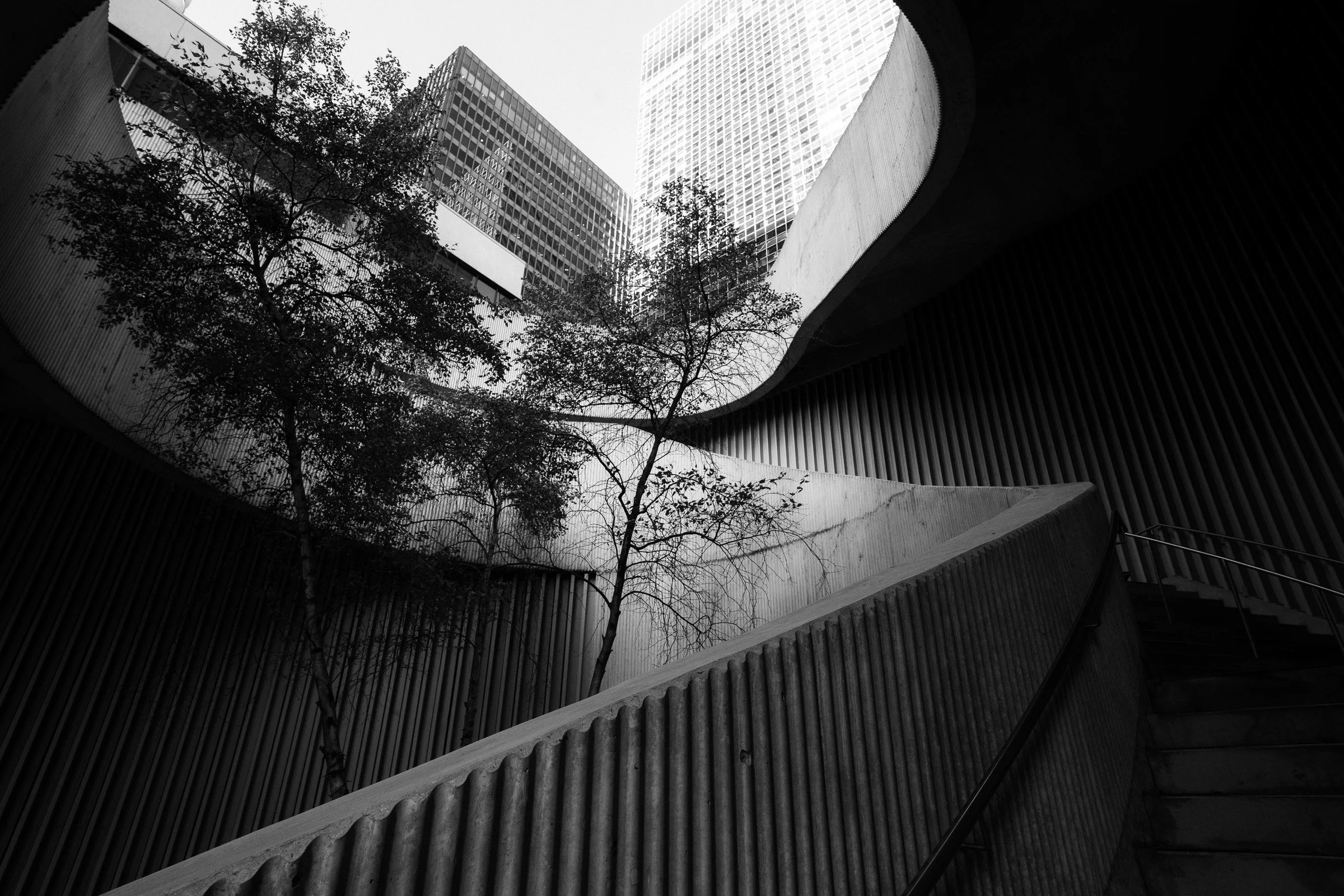 ChicagoCityyBeautifulBlackandWhitePhotography-48.jpg
