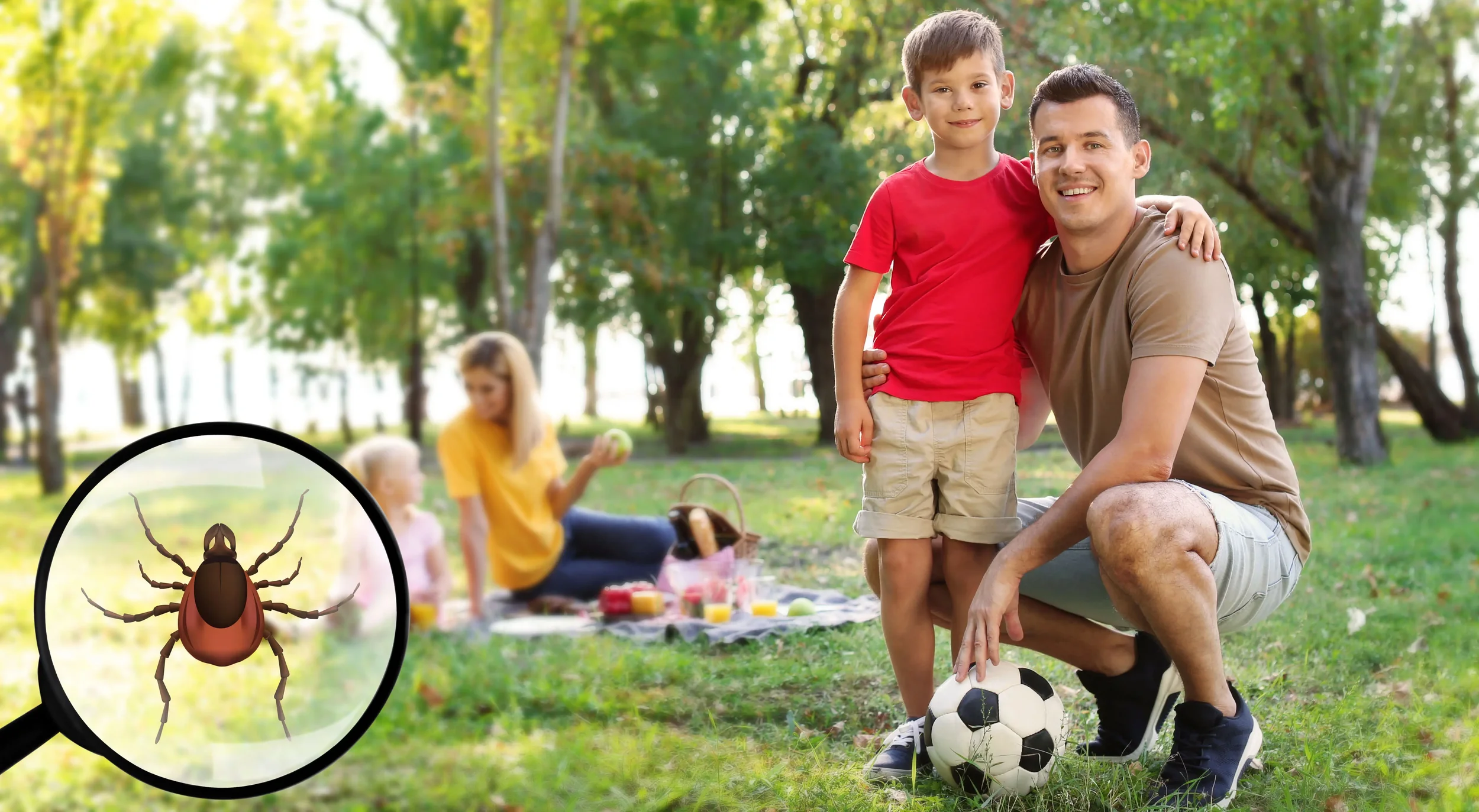 A family having a picnic in a park with trees and green grass, two women sitting on a picnic blanket, a boy and a man posing with a soccer ball, and a close-up of a tick magnified in the lower left corner.
