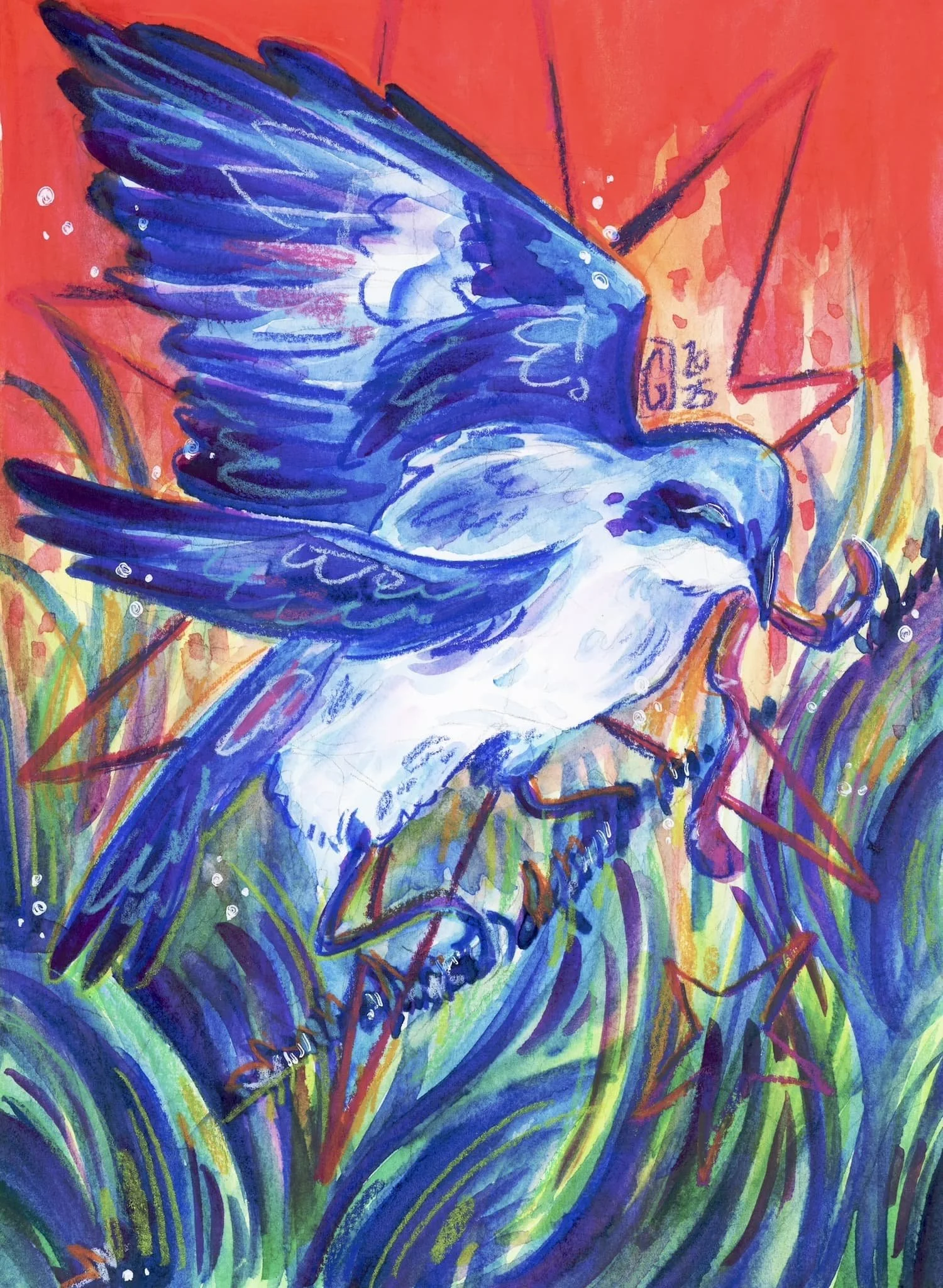 KU Illustration Club