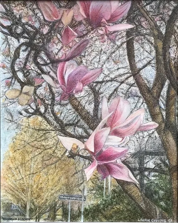 Magnolias
