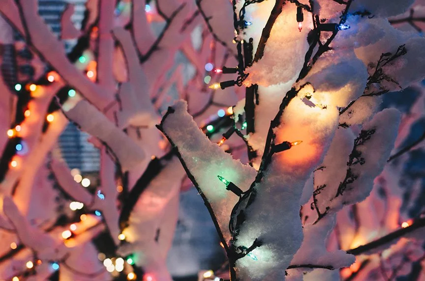 colorful holiday lights on snow covered branches