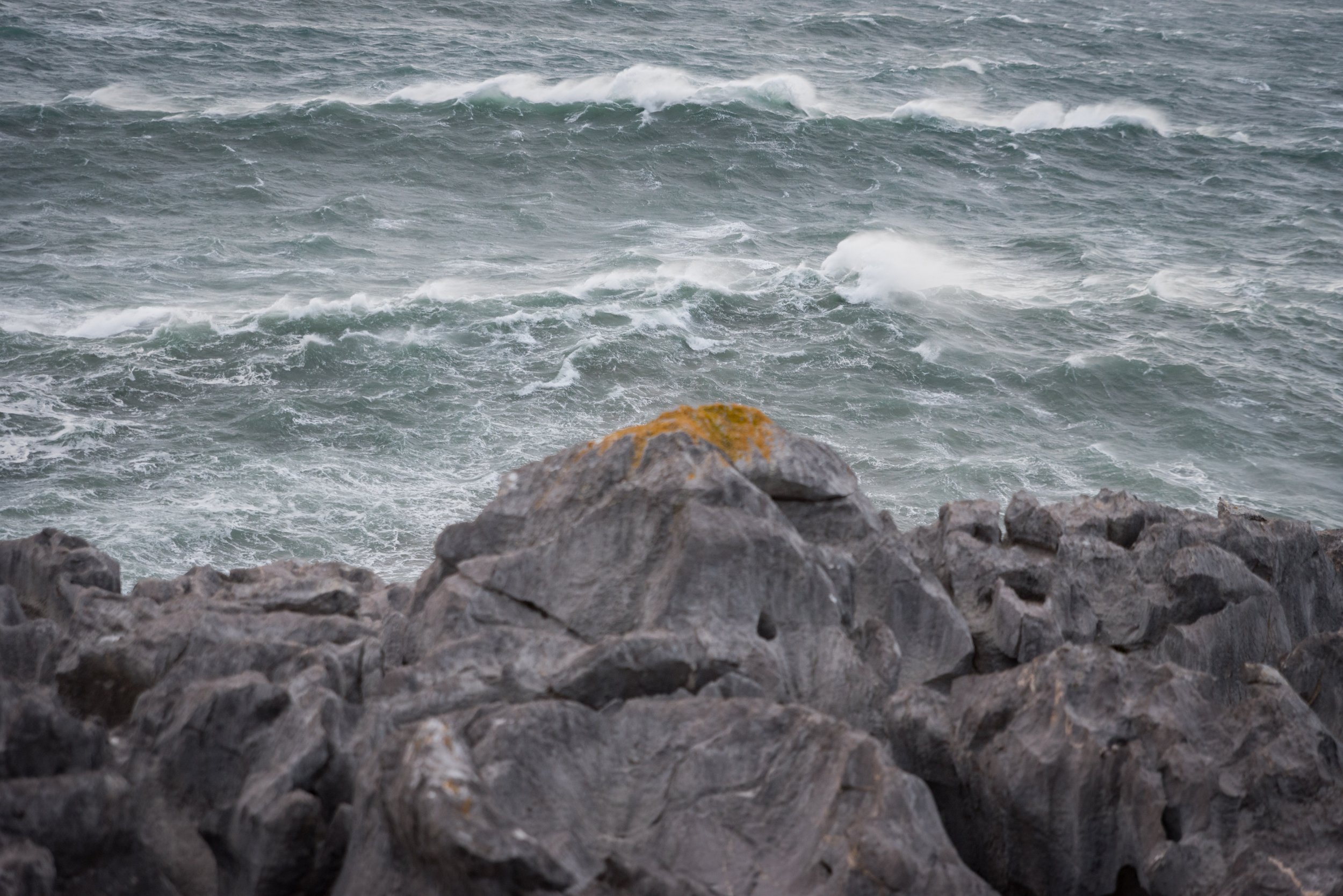 _DSC6081.jpg